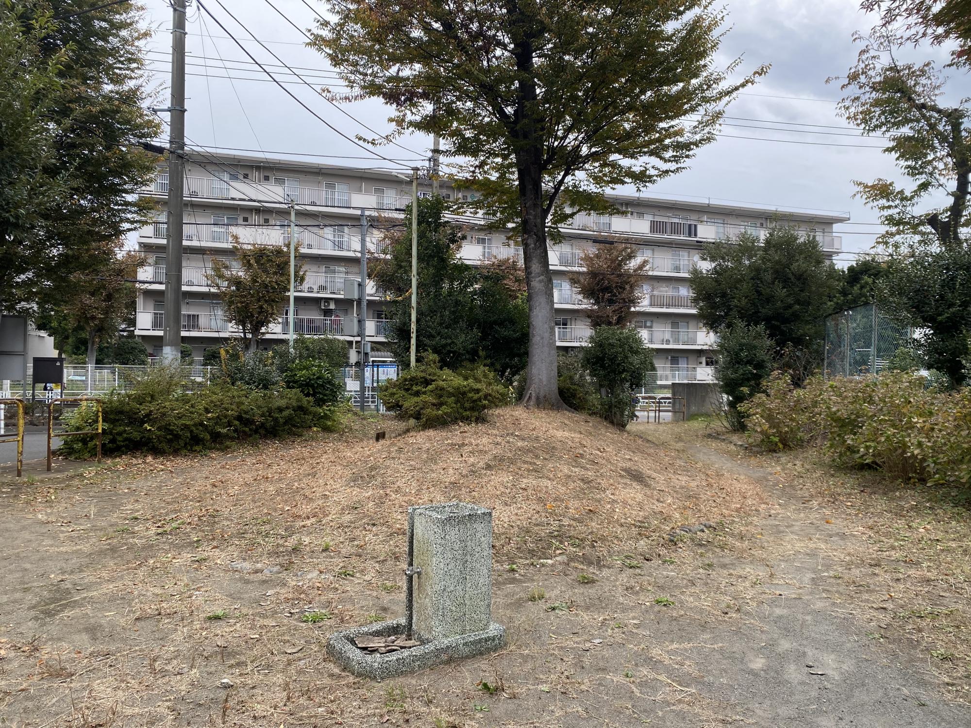 竹丘たけのこ遊園