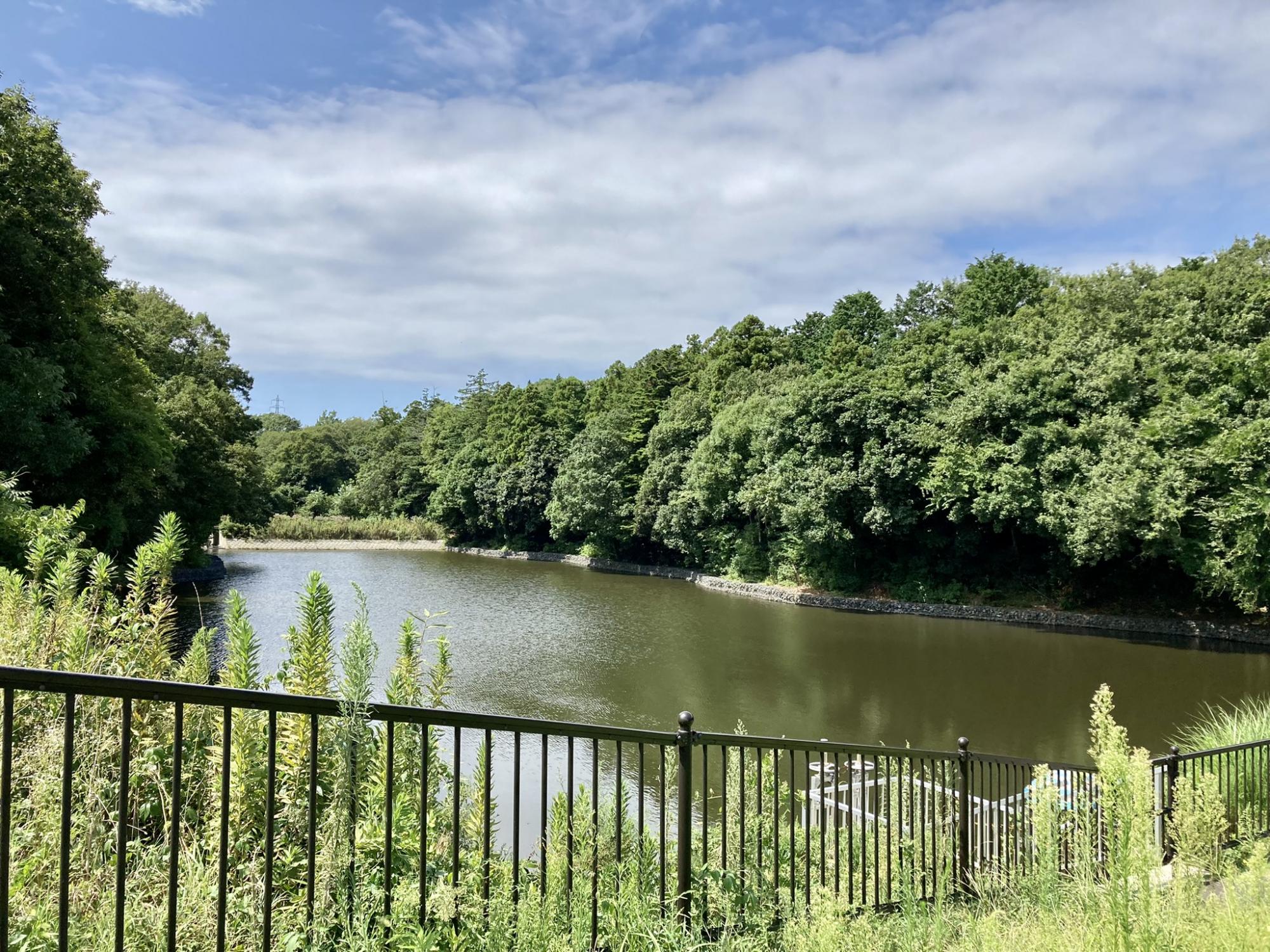 百合が丘公園・百合が丘北街区公園