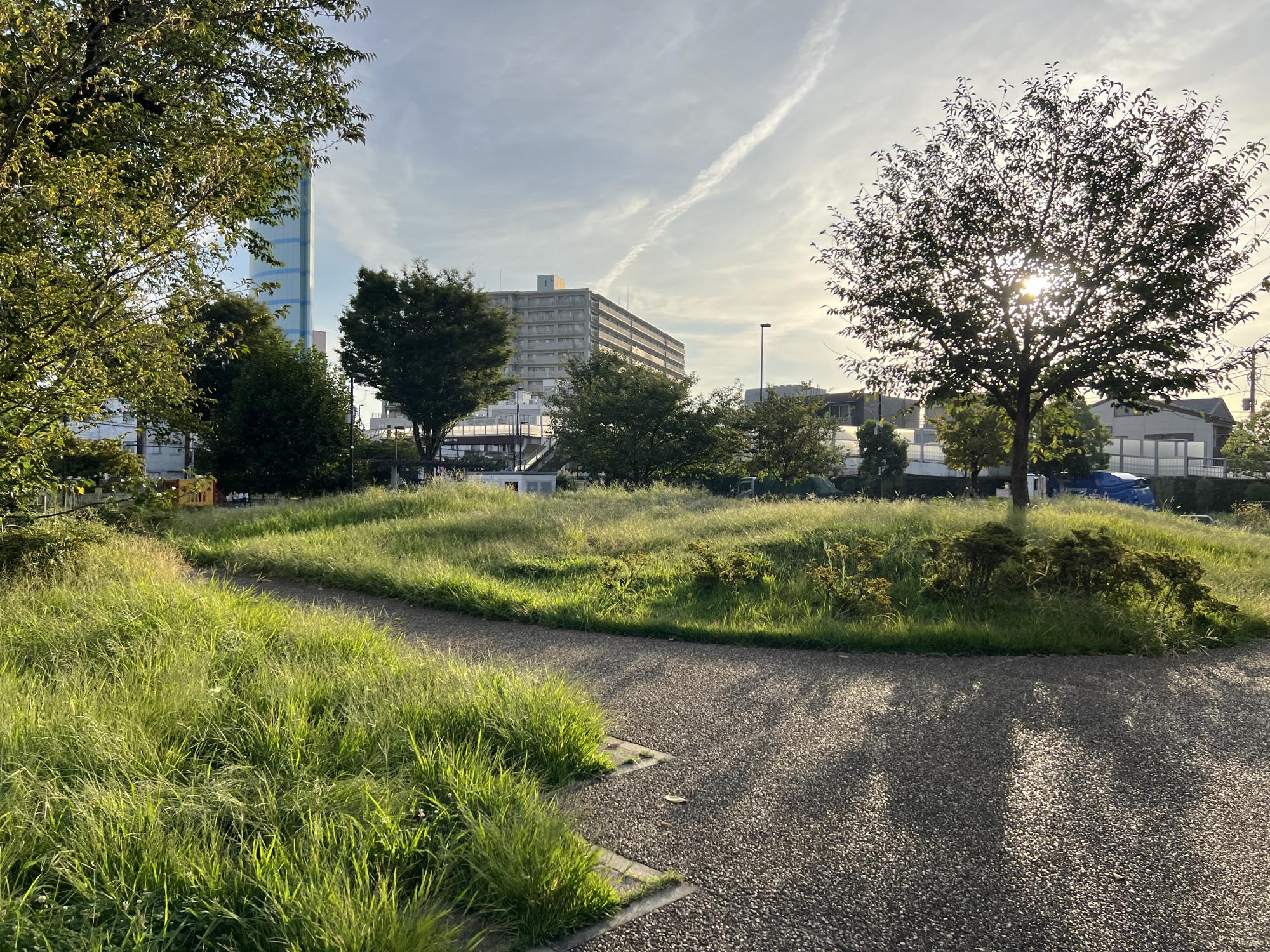 練馬区立電車の見える公園