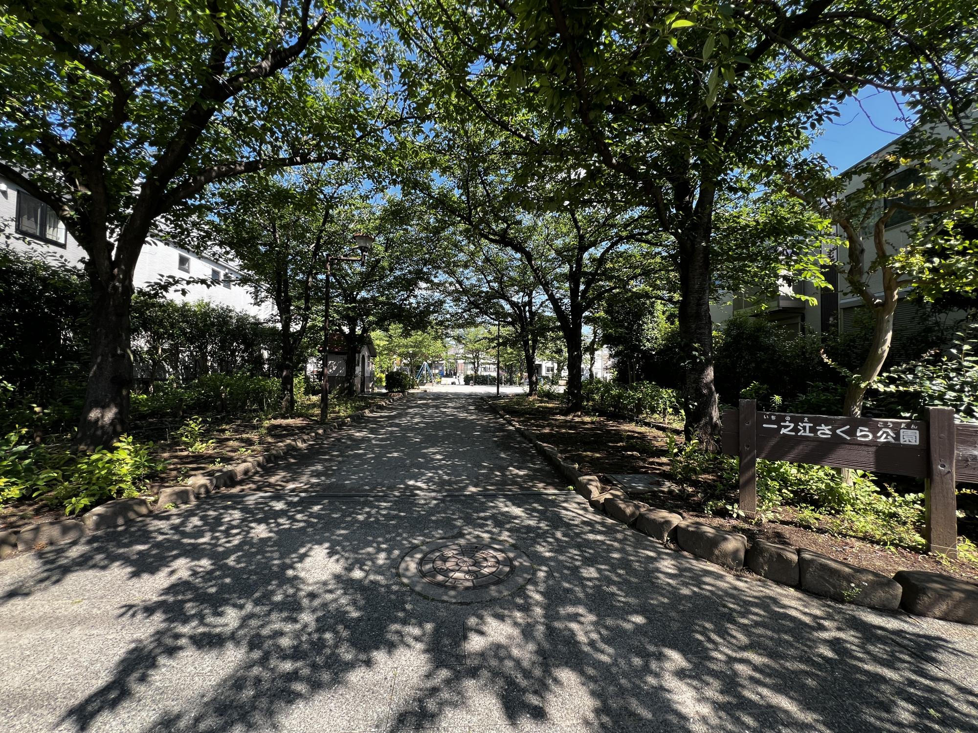 一之江さくら公園