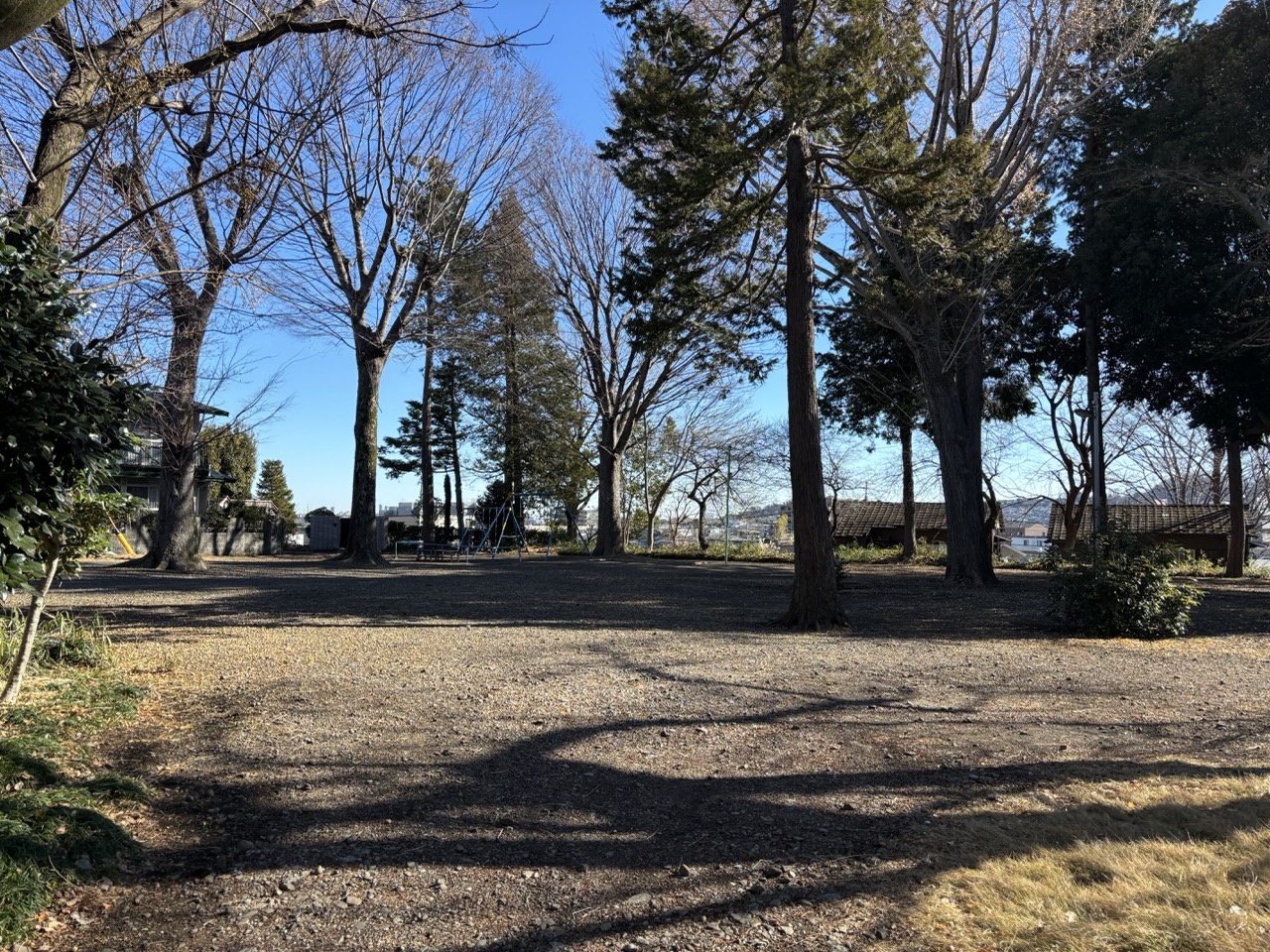 たぬき公園