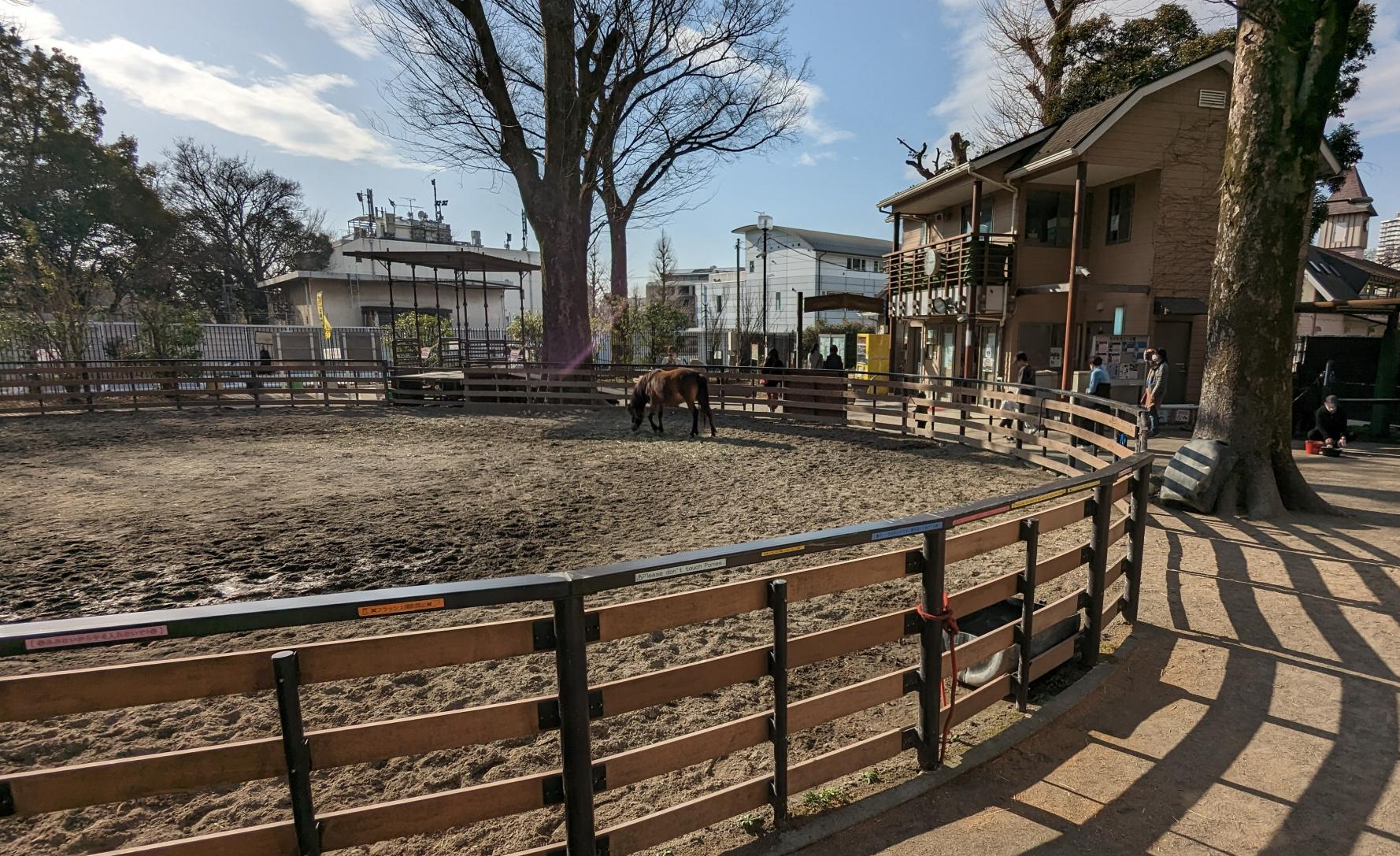 代々木ポニー公園