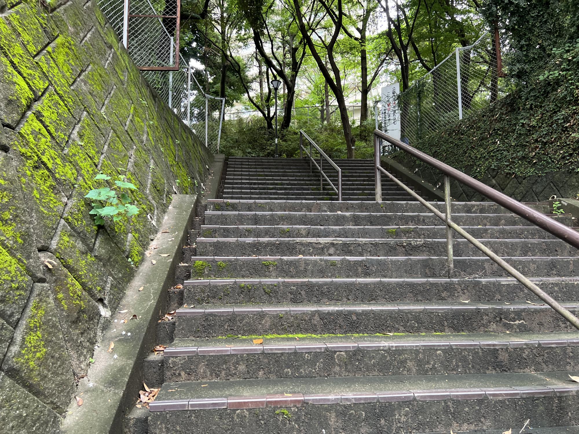 中台しいのき公園