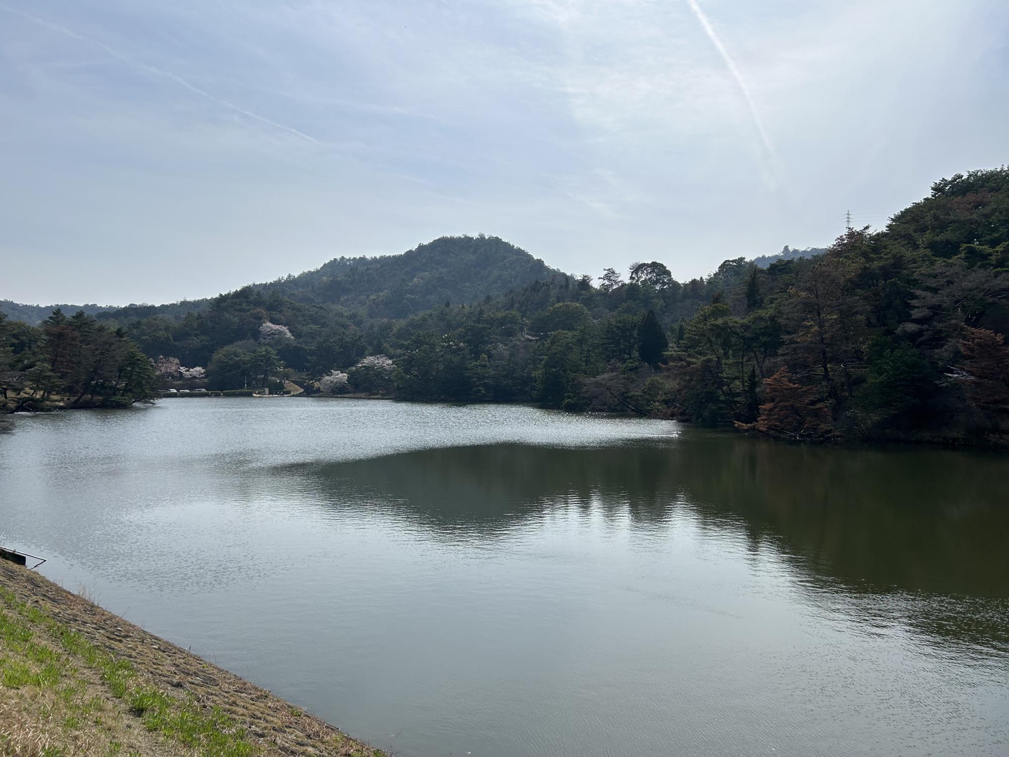 深山公園