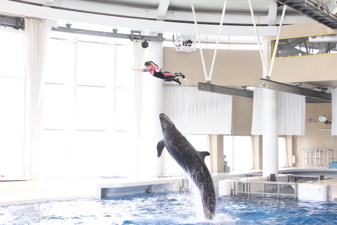 アクアワールド茨城県大洗水族館