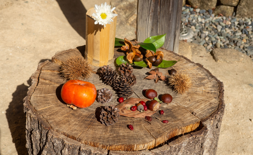 大塚・歳勝土遺跡公園