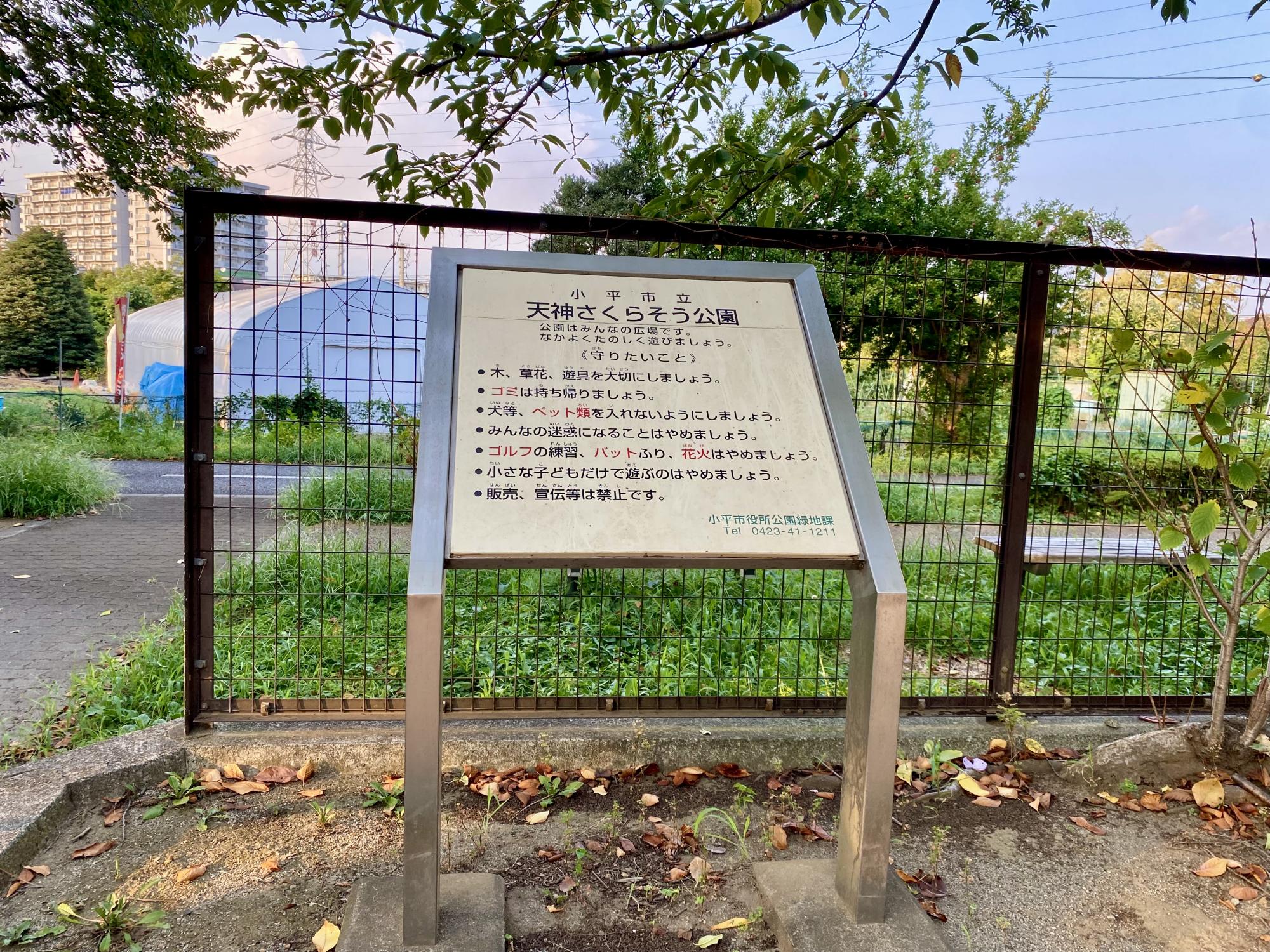 天神さくらそう公園