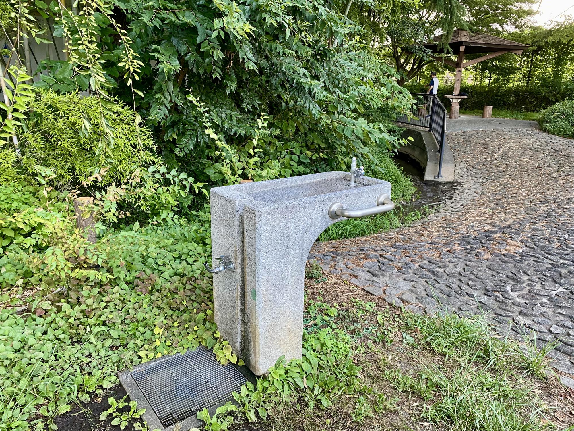 小平グリーンロード親水公園