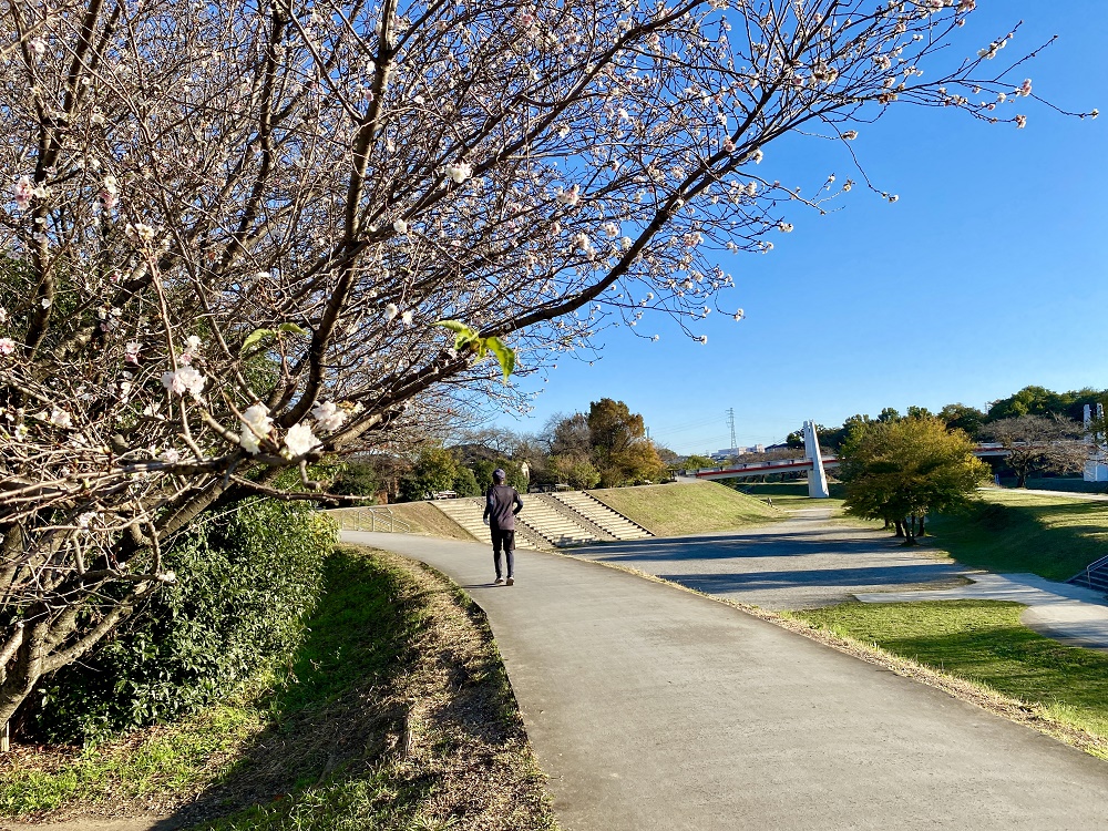 いろは親水公園