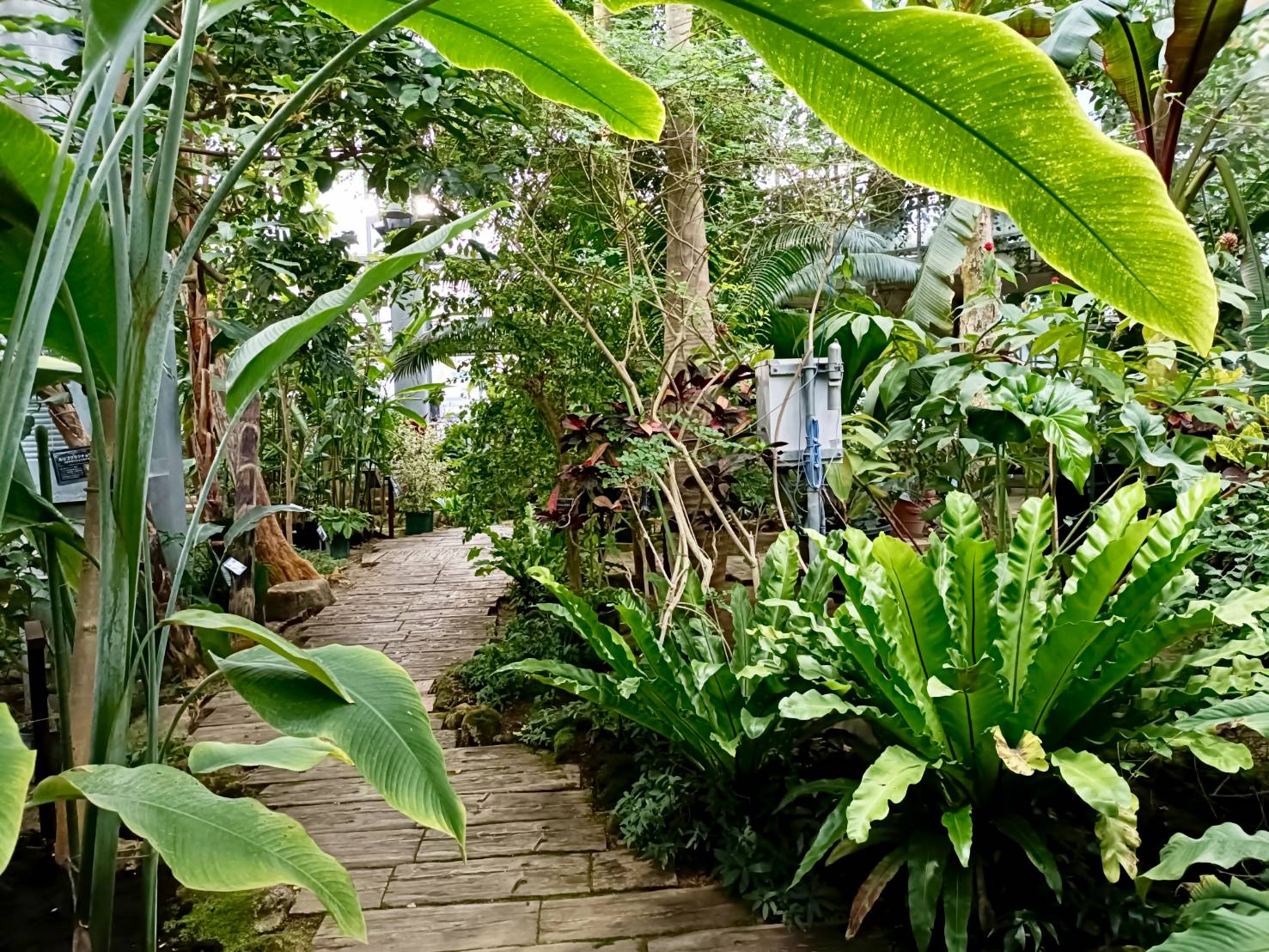 富山県中央植物園