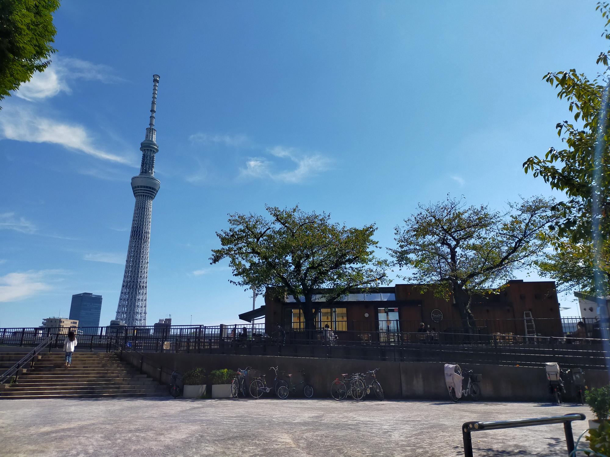 台東区立隅田公園