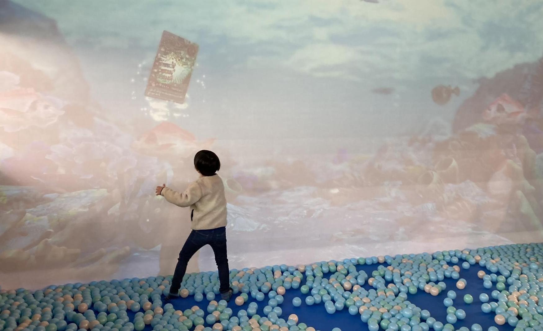 あそびパークPLUS　ジョイフル本田ニューポートひたちなか店