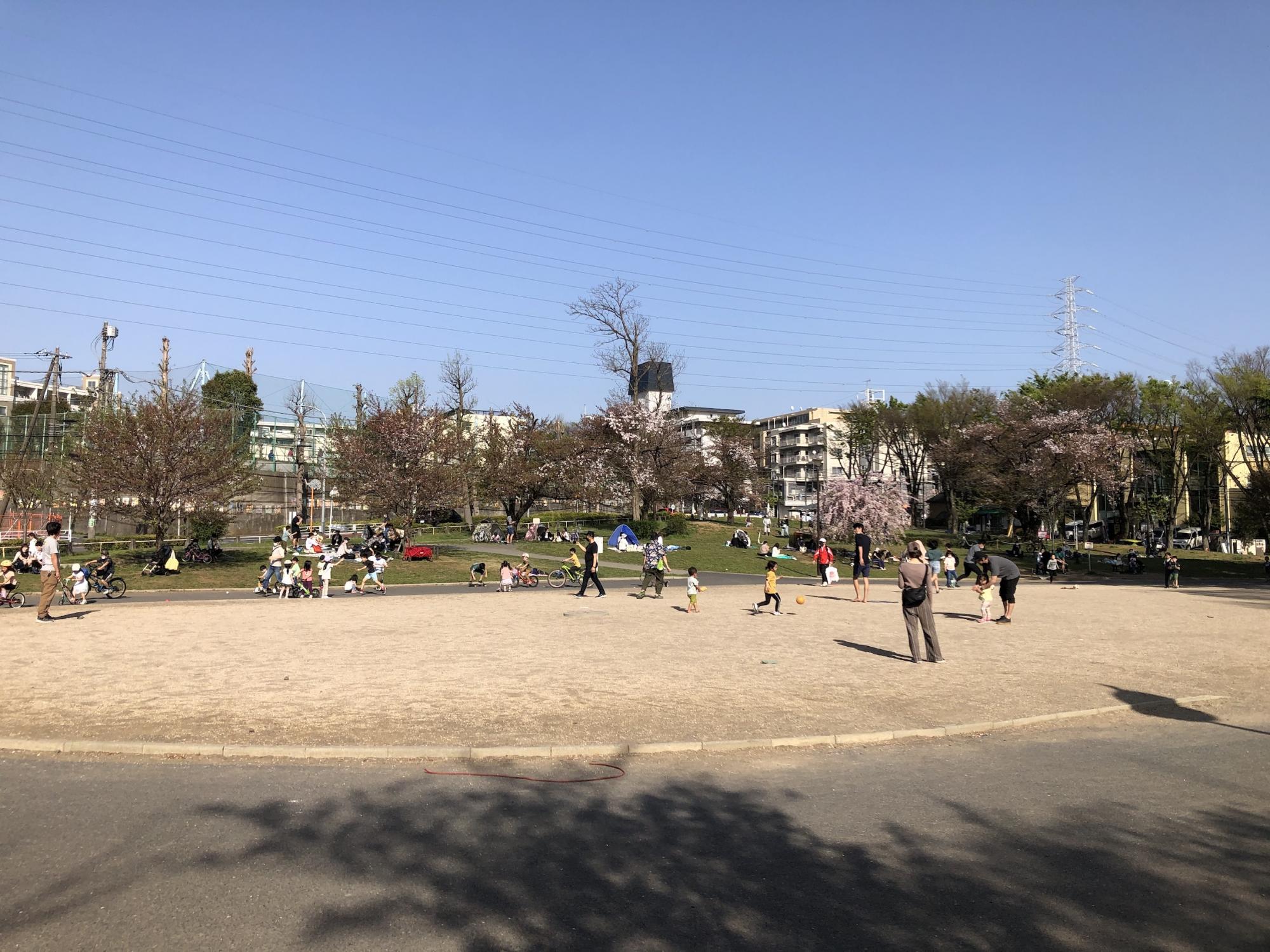 美しが丘公園