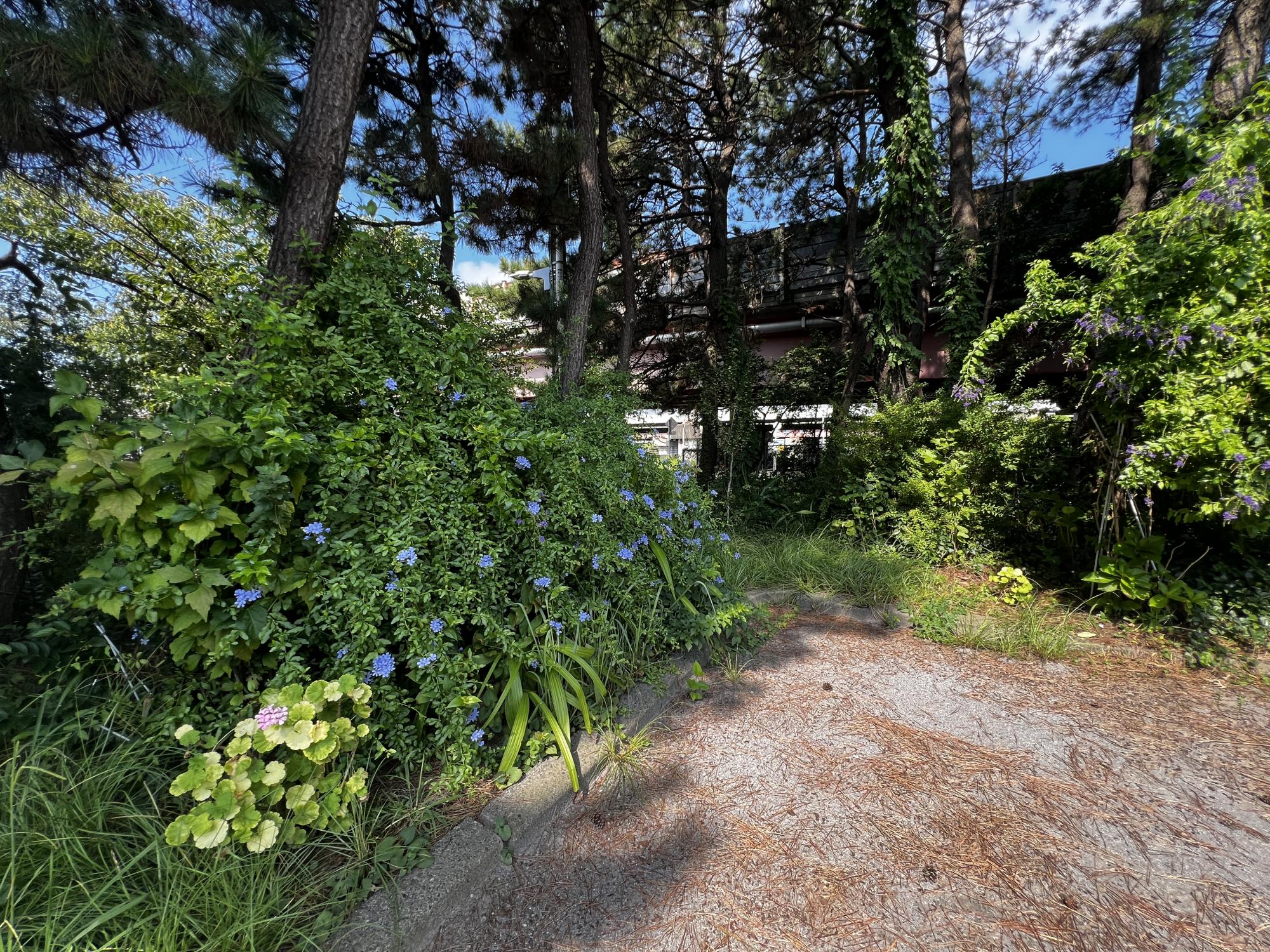 美浜南第1街区公園