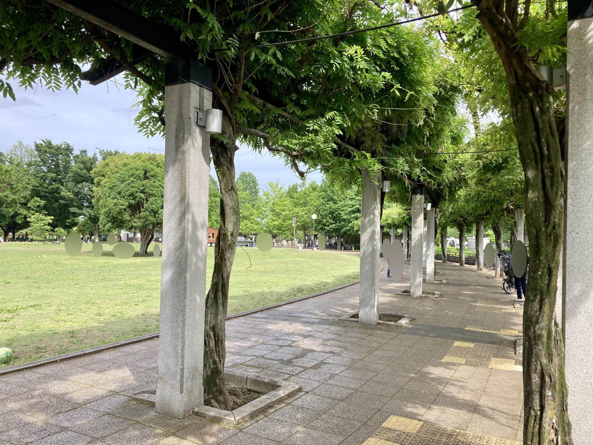 武蔵国分寺公園