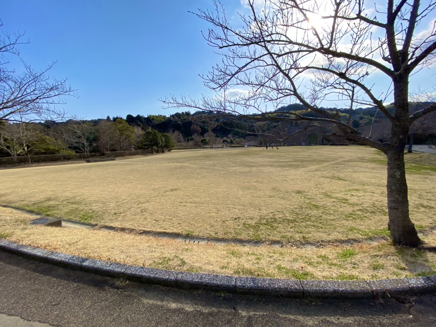 清水日本平運動公園