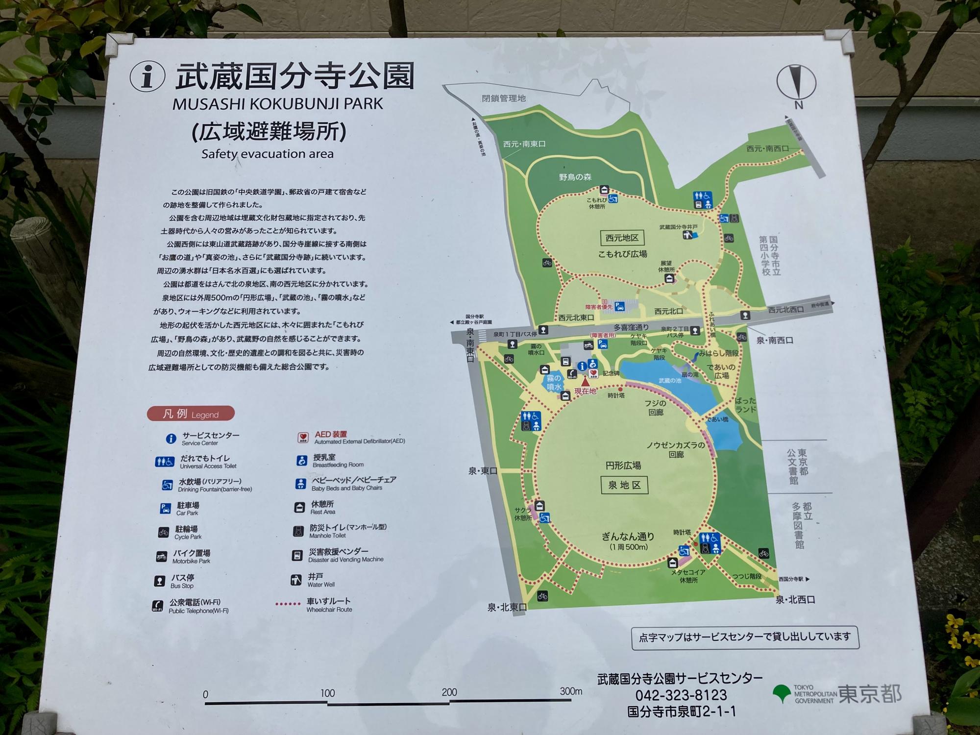 武蔵国分寺公園