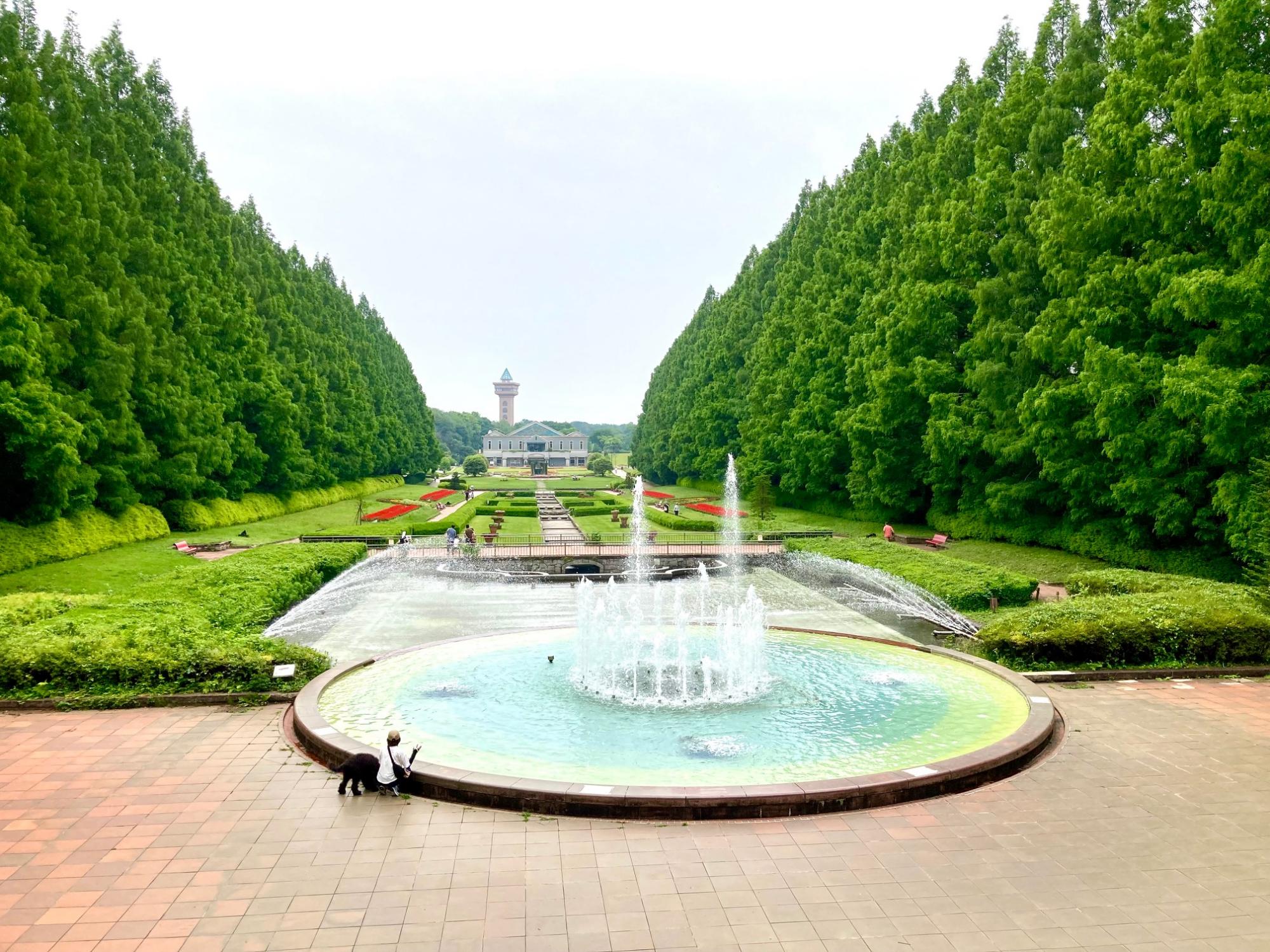 県立相模原公園