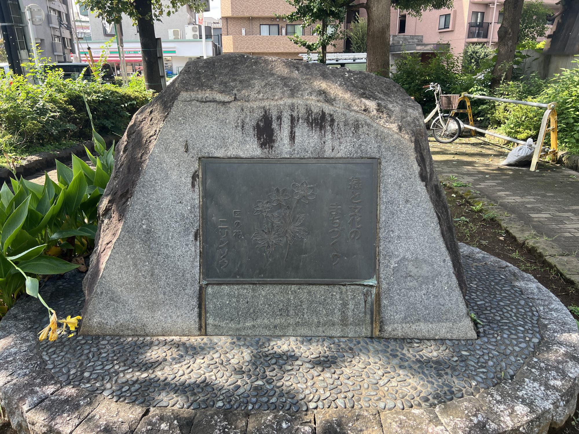 板橋区南ときわ台公園