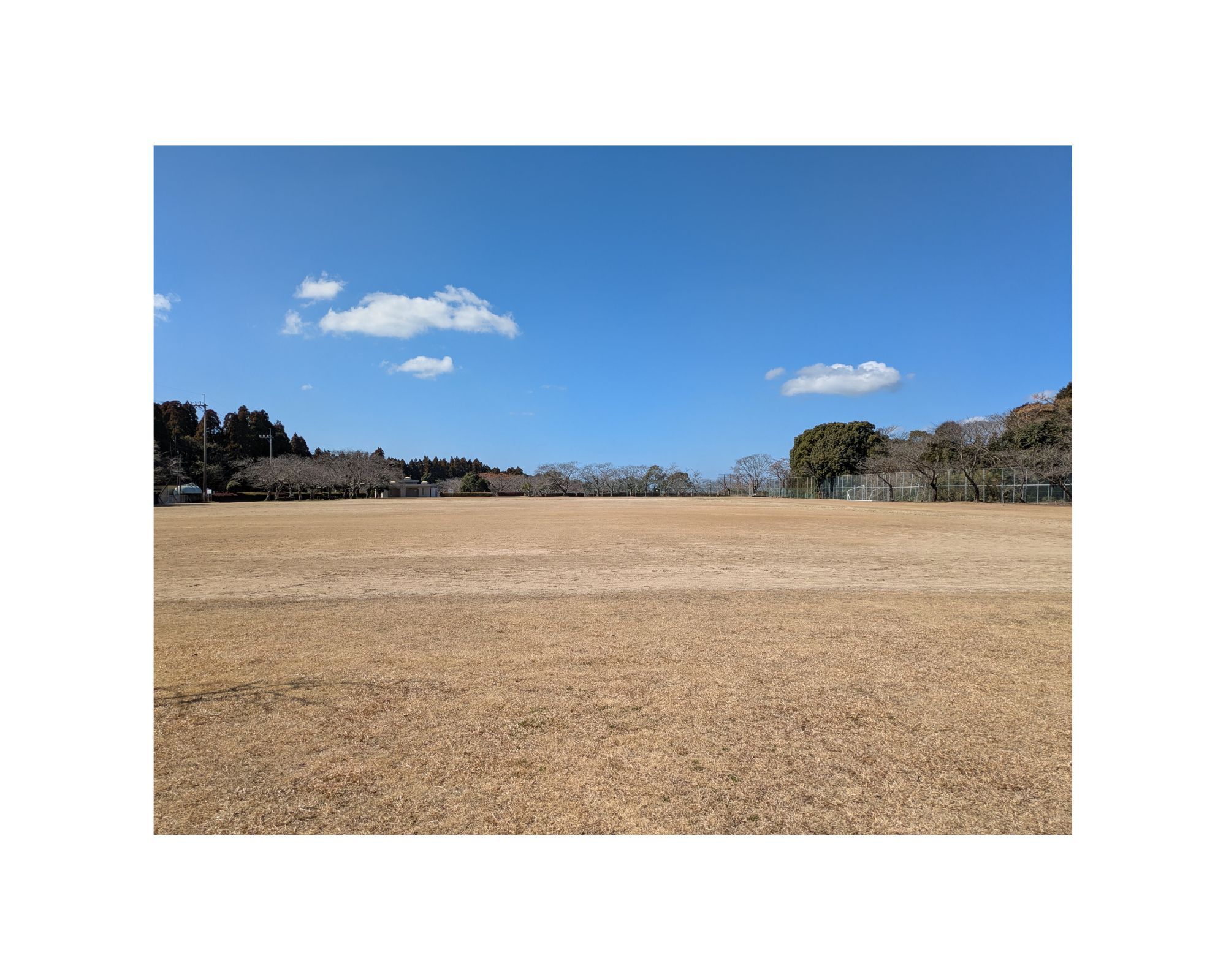 清水ヶ岡公園