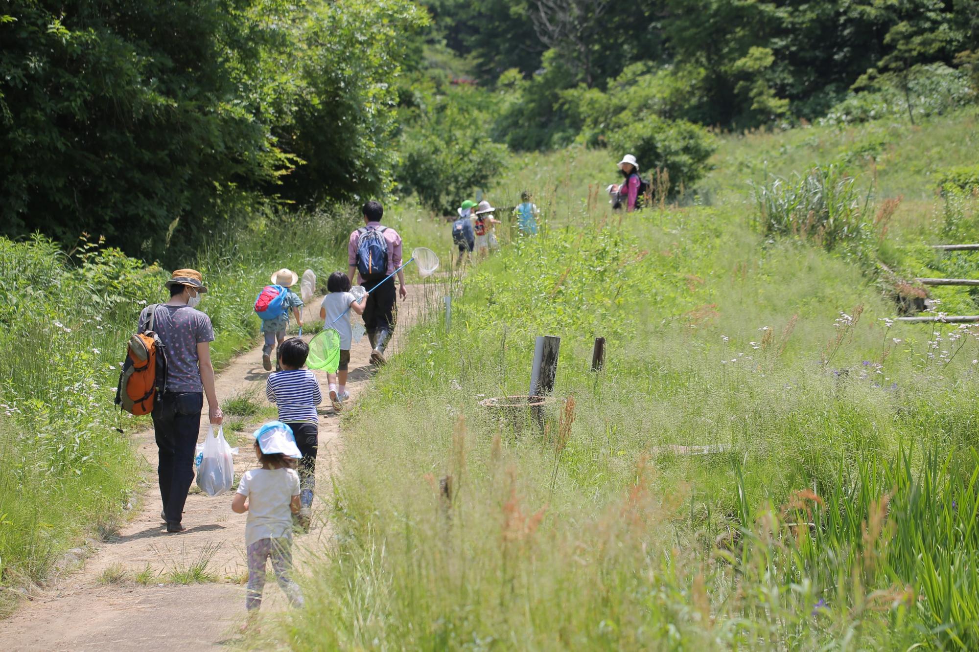 富山森のこども園