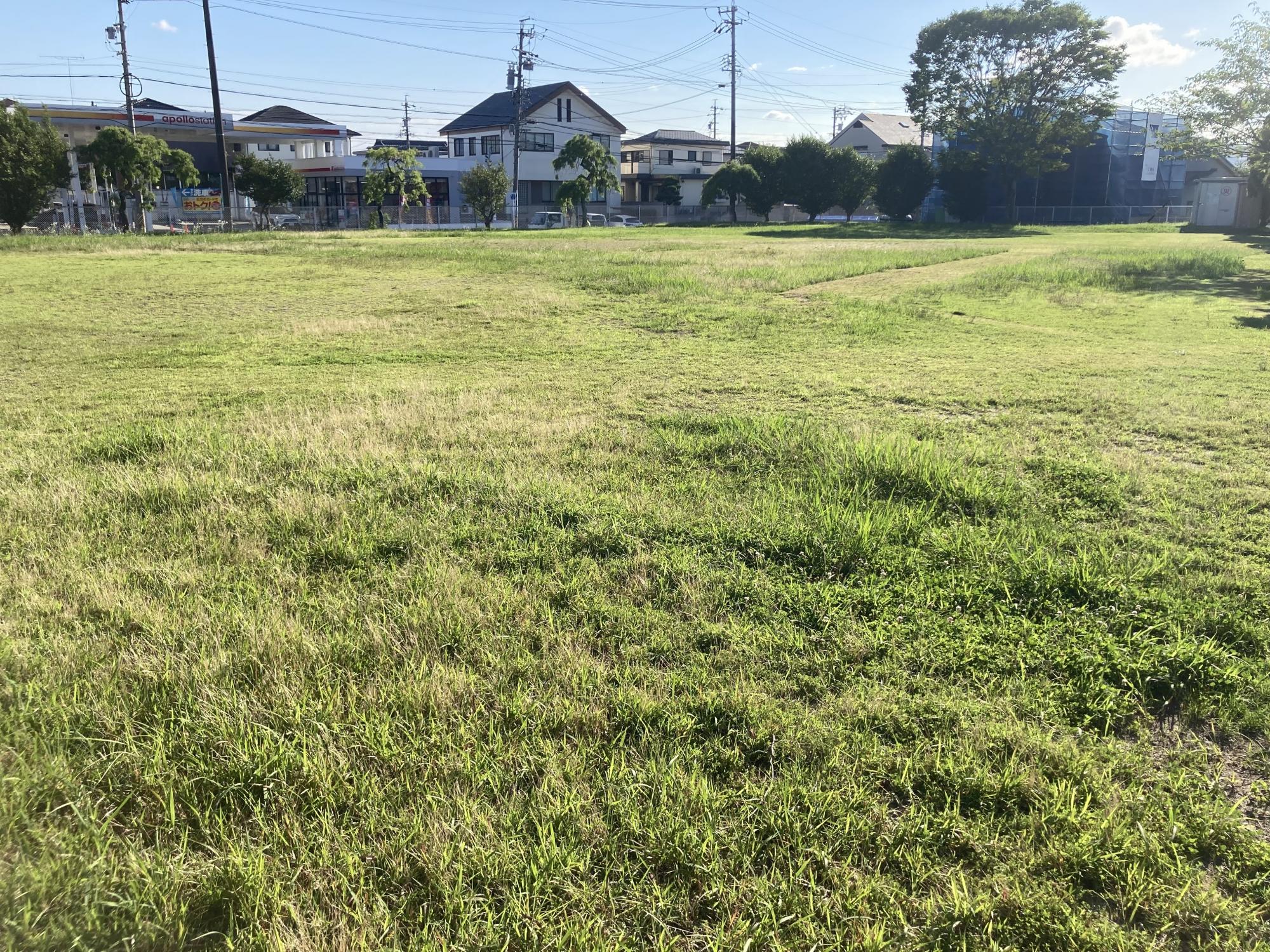 つつじが丘南公園