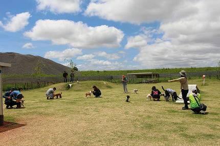 わんちゃんの広場ohana.(オハナ)