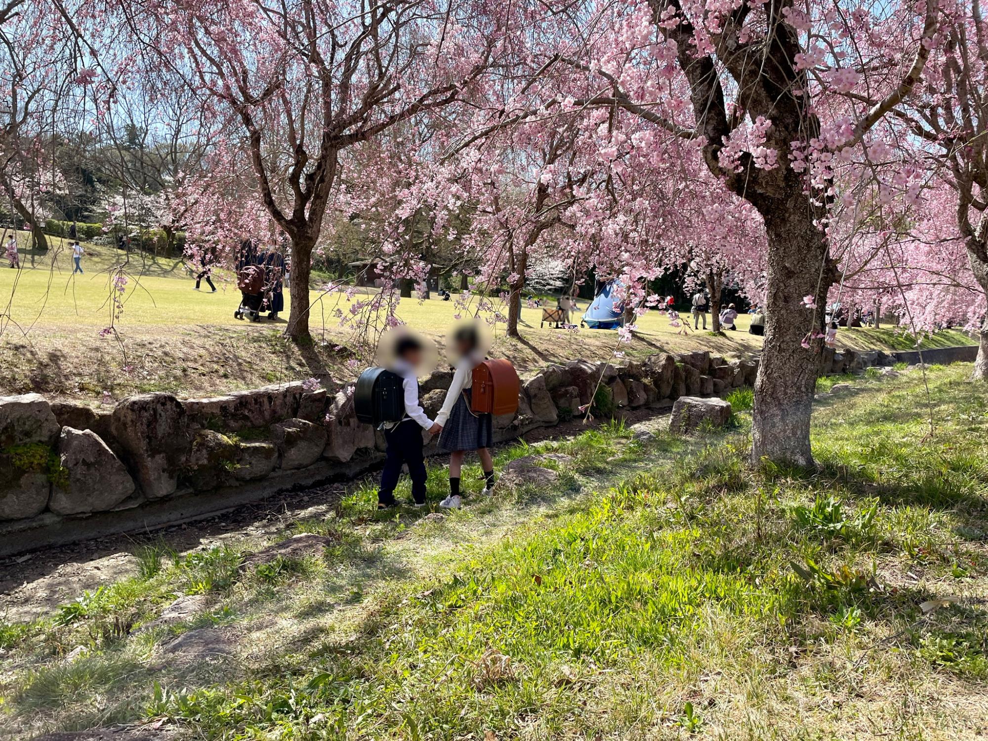 愛知森林公園