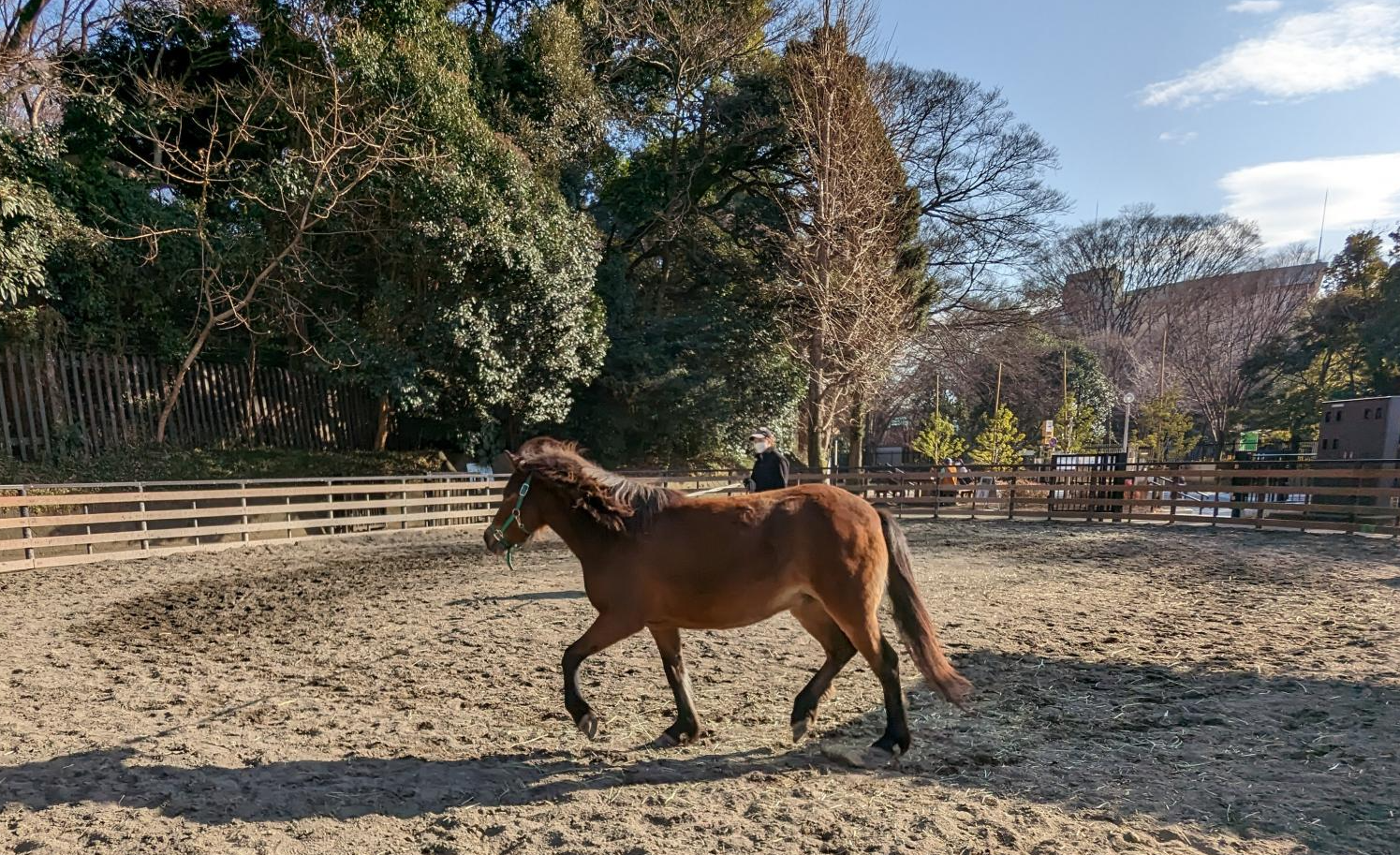 代々木ポニー公園