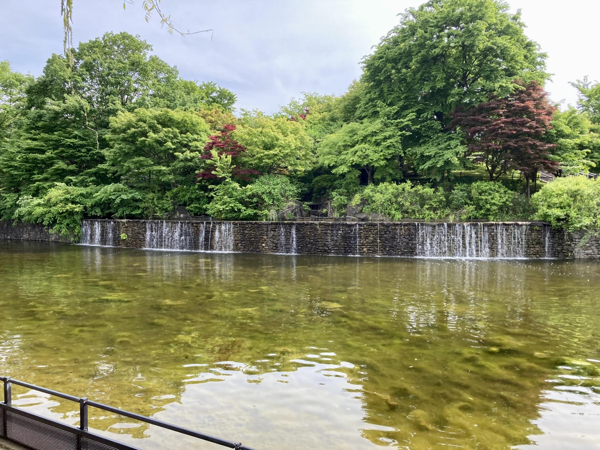 武蔵国分寺公園