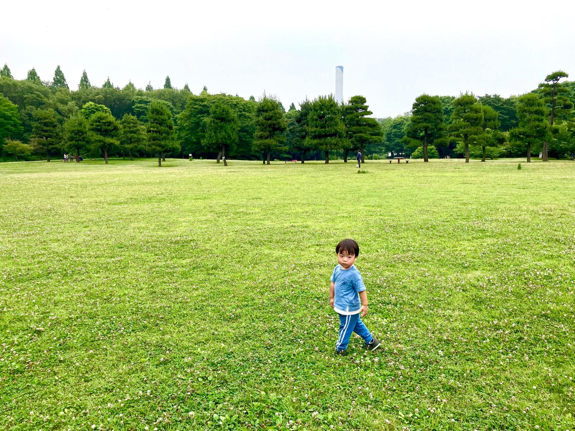 県立相模原公園
