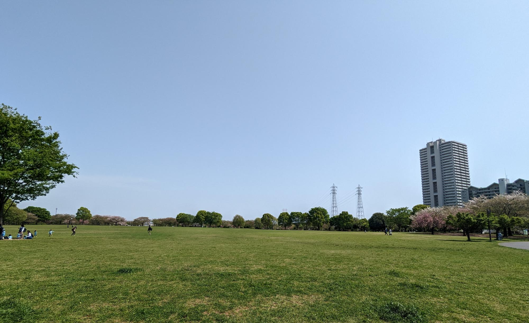 大島小松川公園