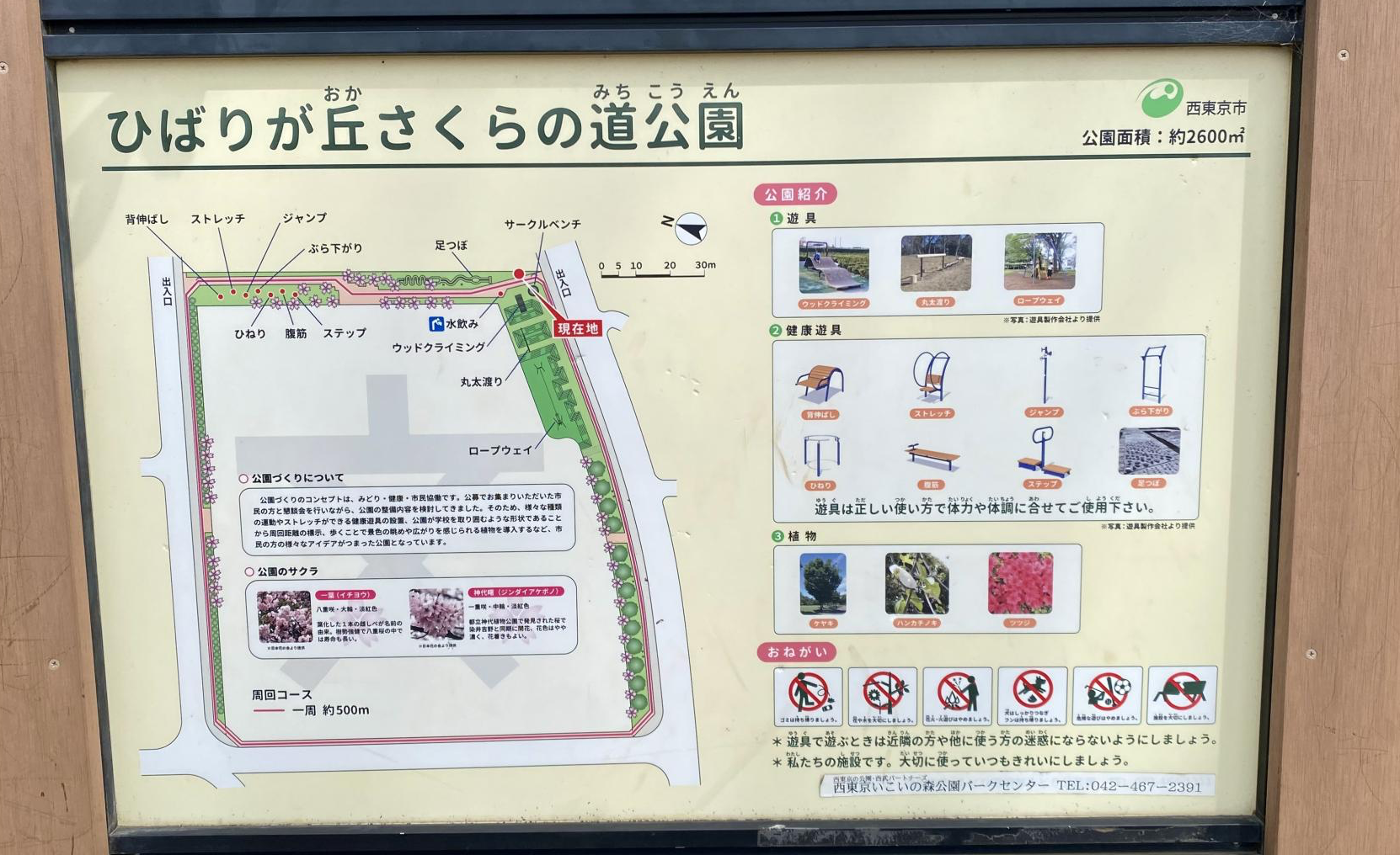 ひばりが丘さくらの道公園