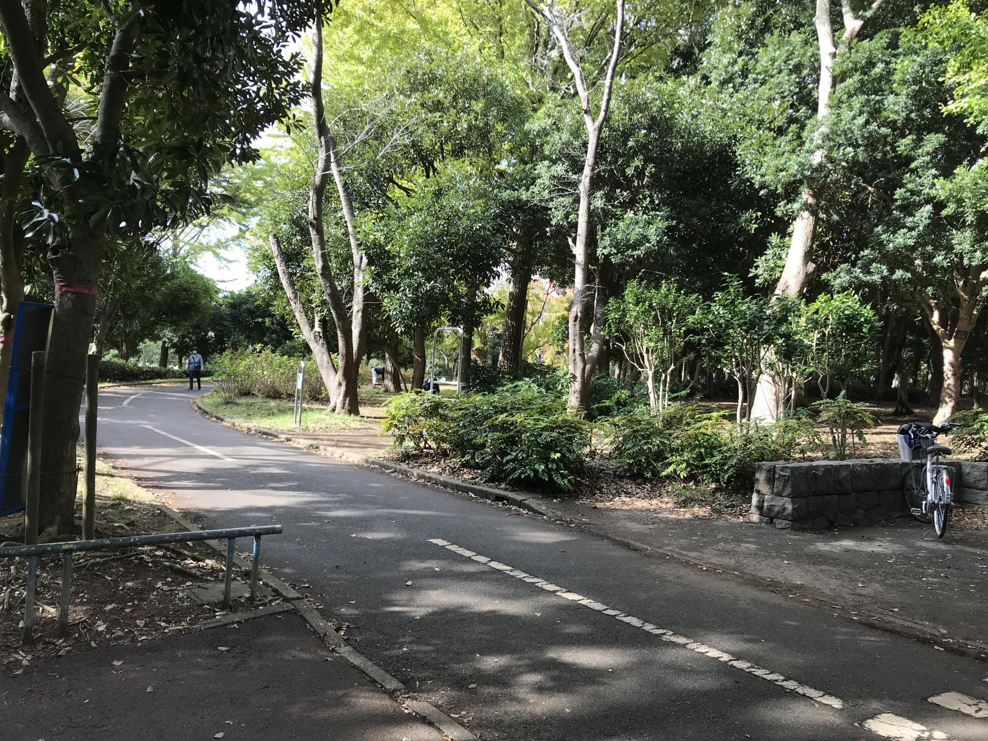 千葉県立行田公園