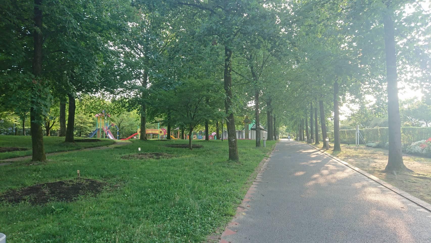 砺波チューリップ公園