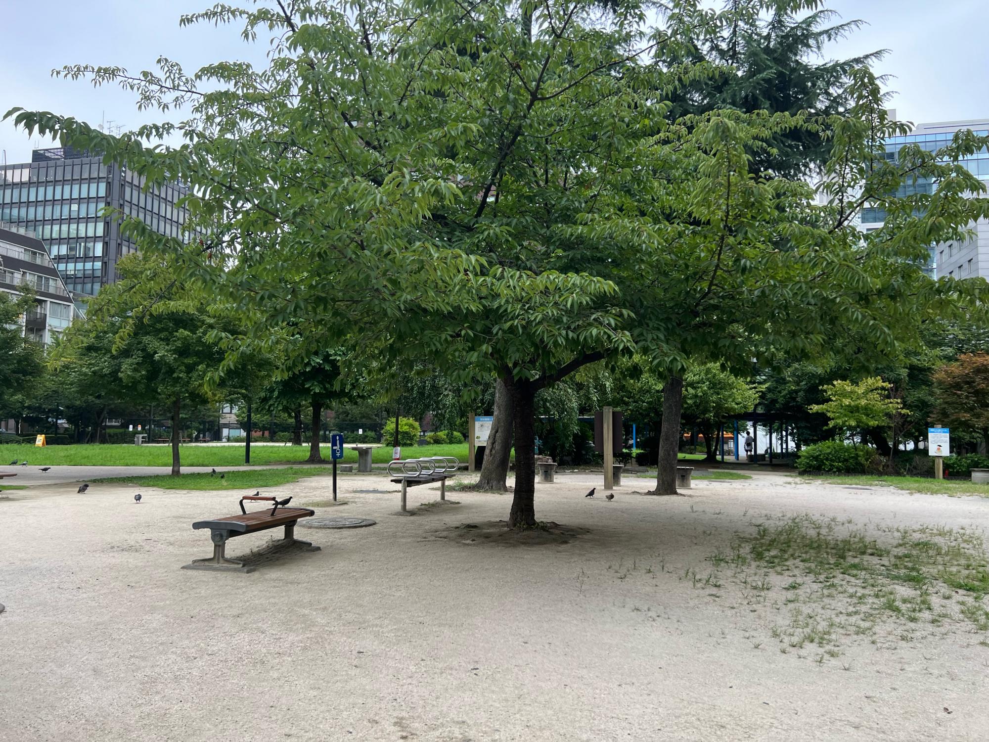 港区立南桜公園