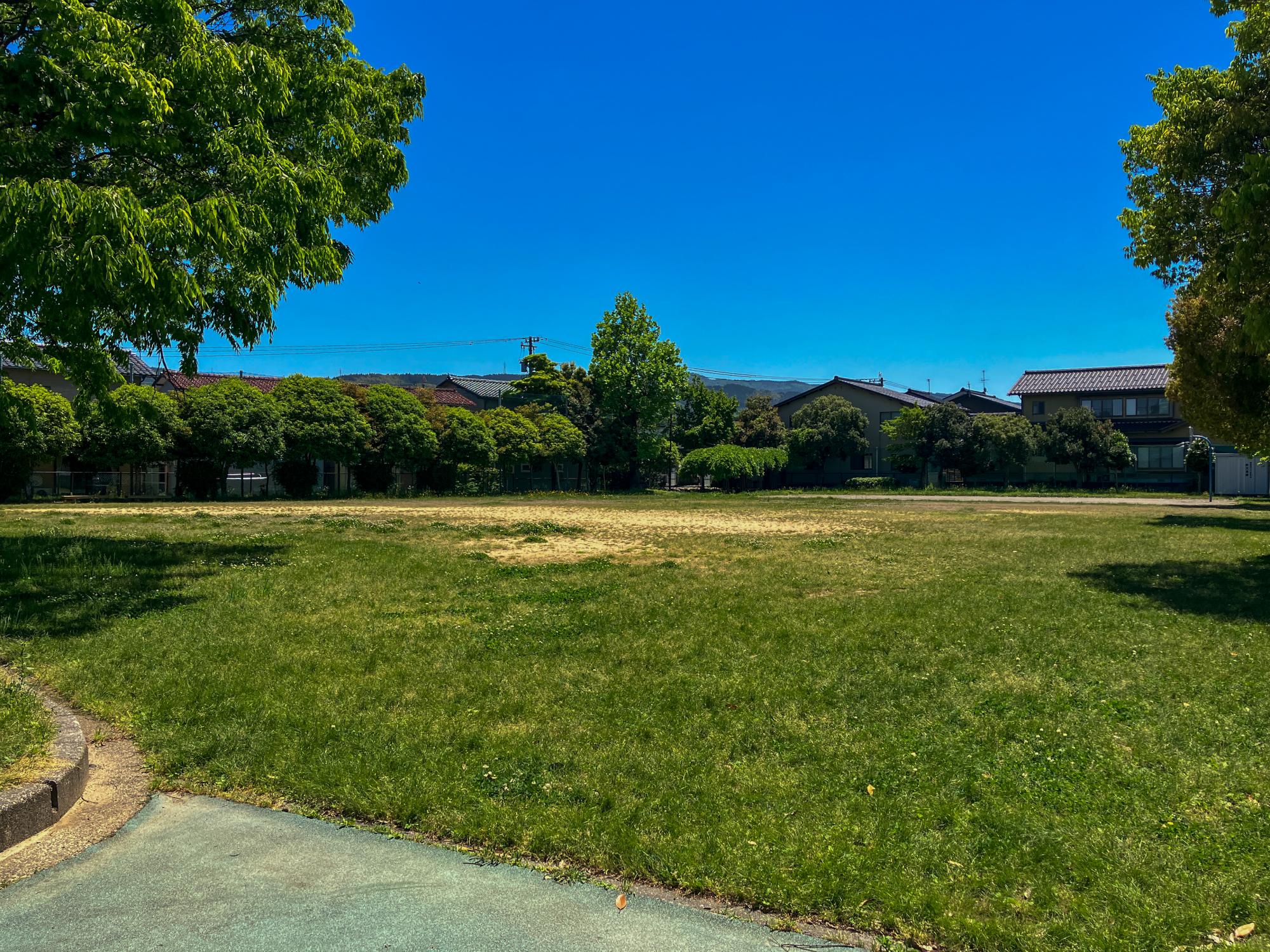 額新保中央公園