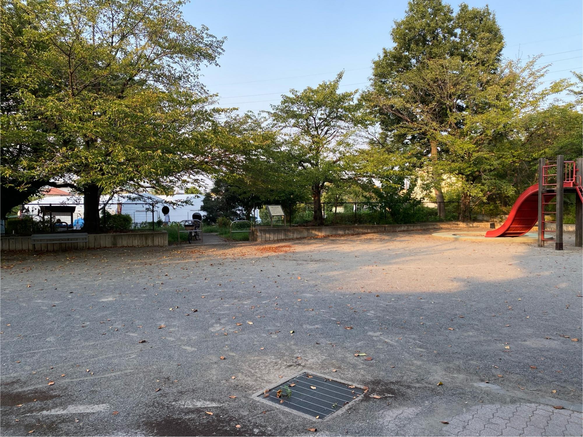 天神さくらそう公園