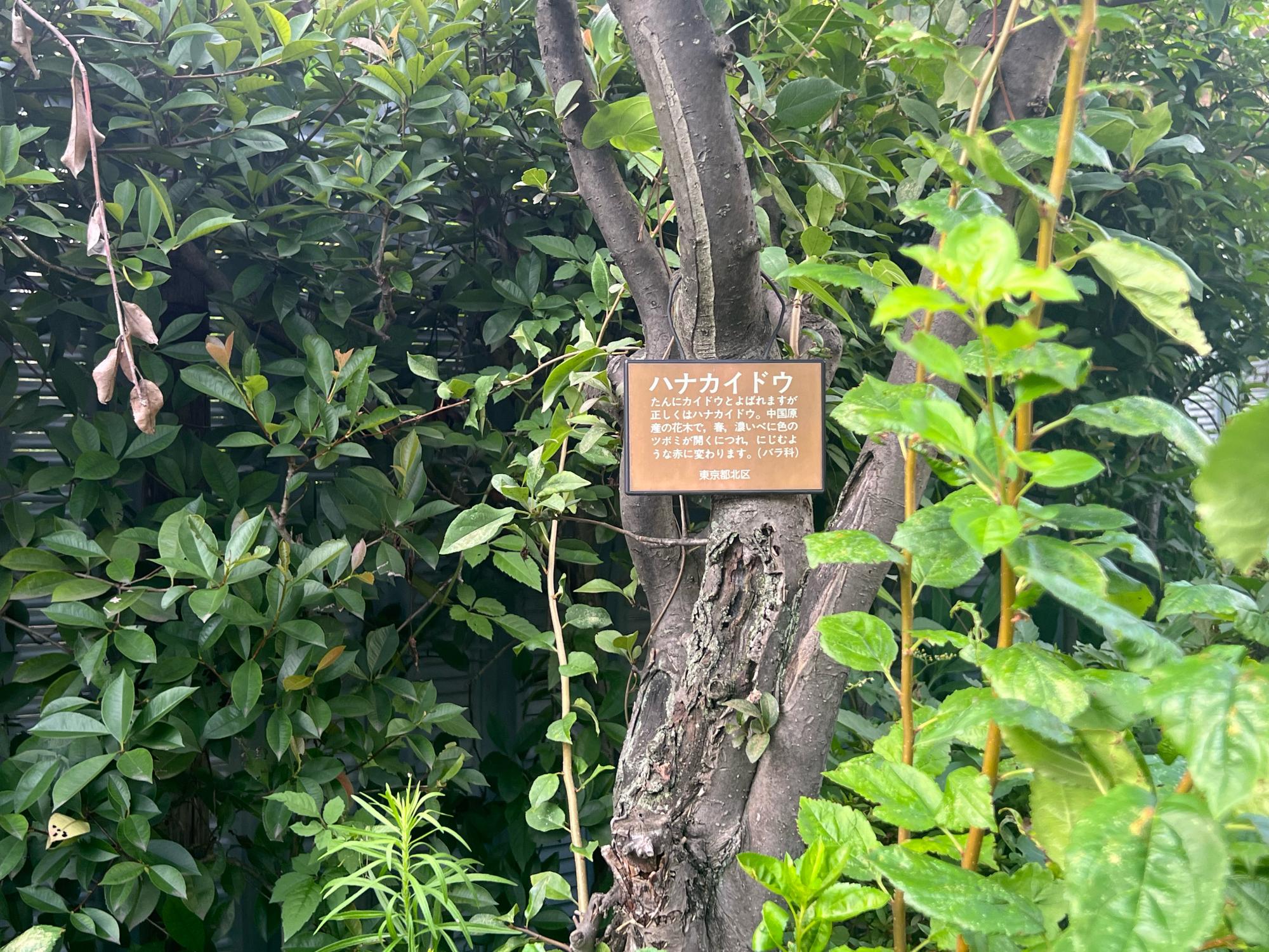 北区立上十条五丁目緑地