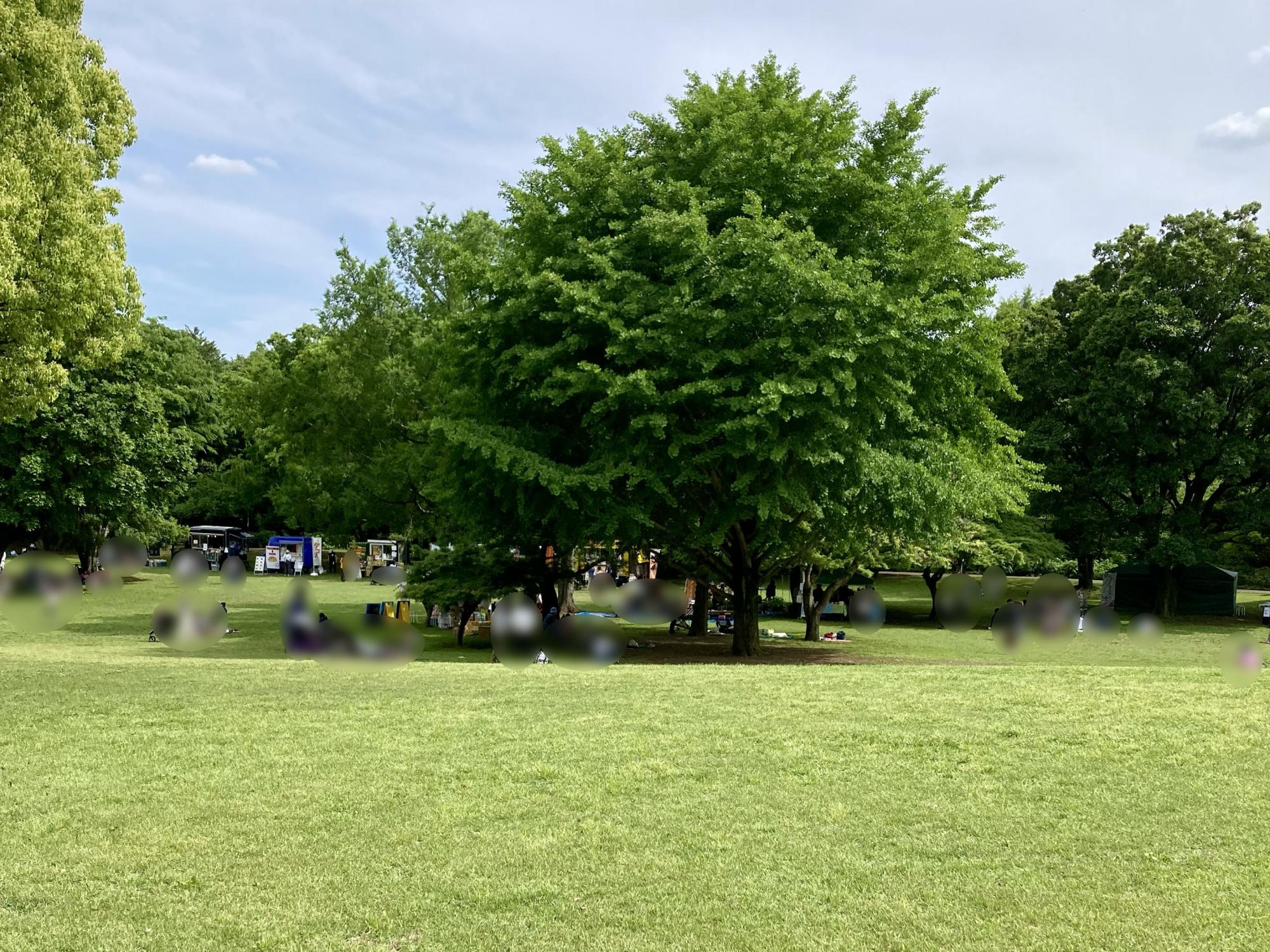 武蔵国分寺公園