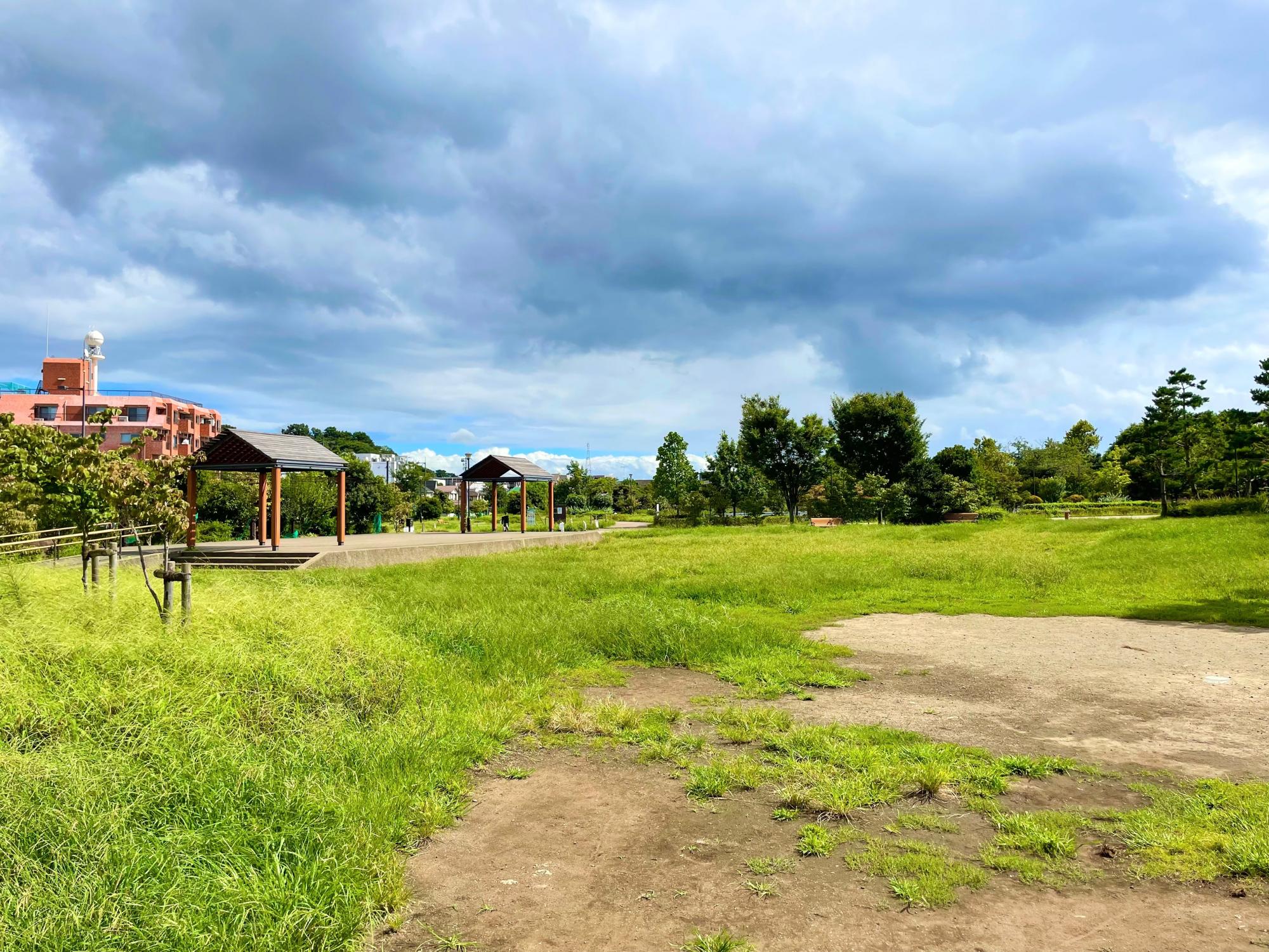 世田谷区立二子玉川公園