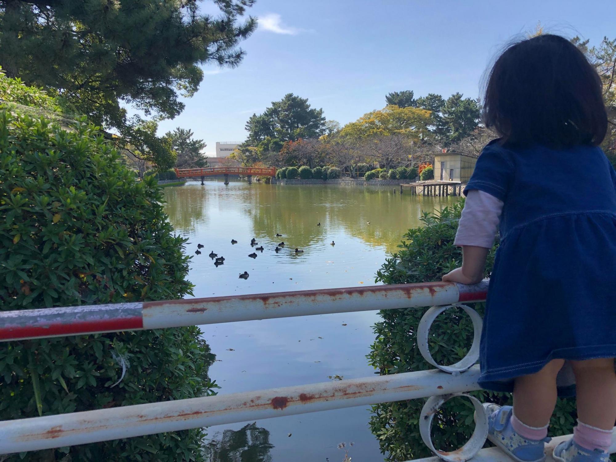 九華公園