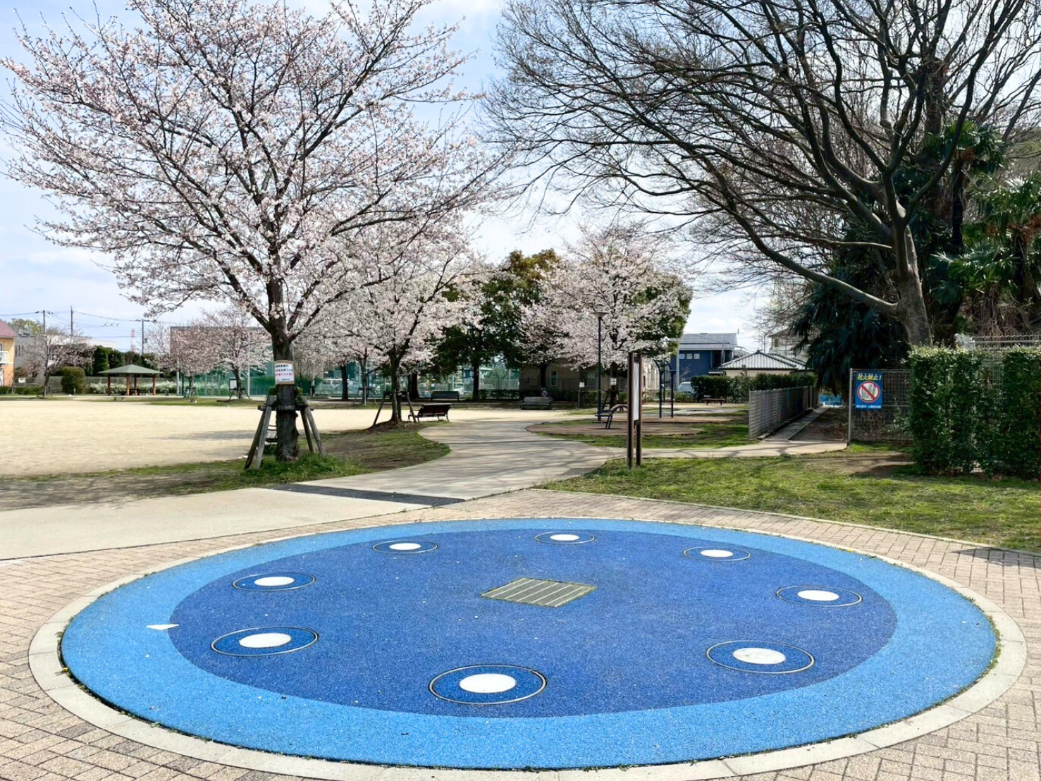 大枝公園