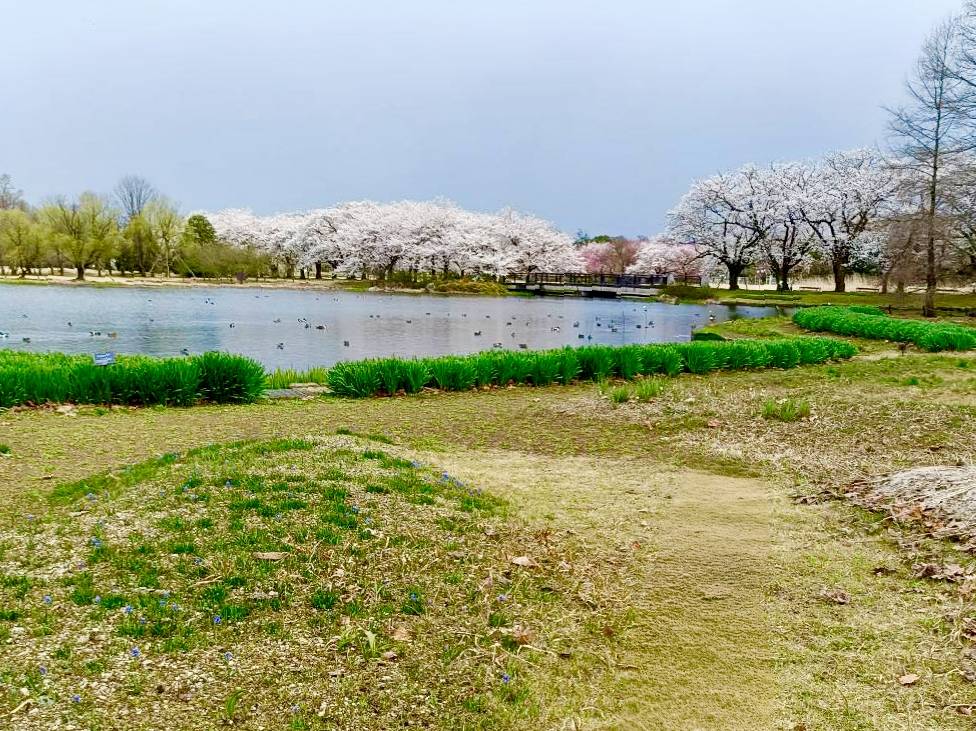 富山県中央植物園