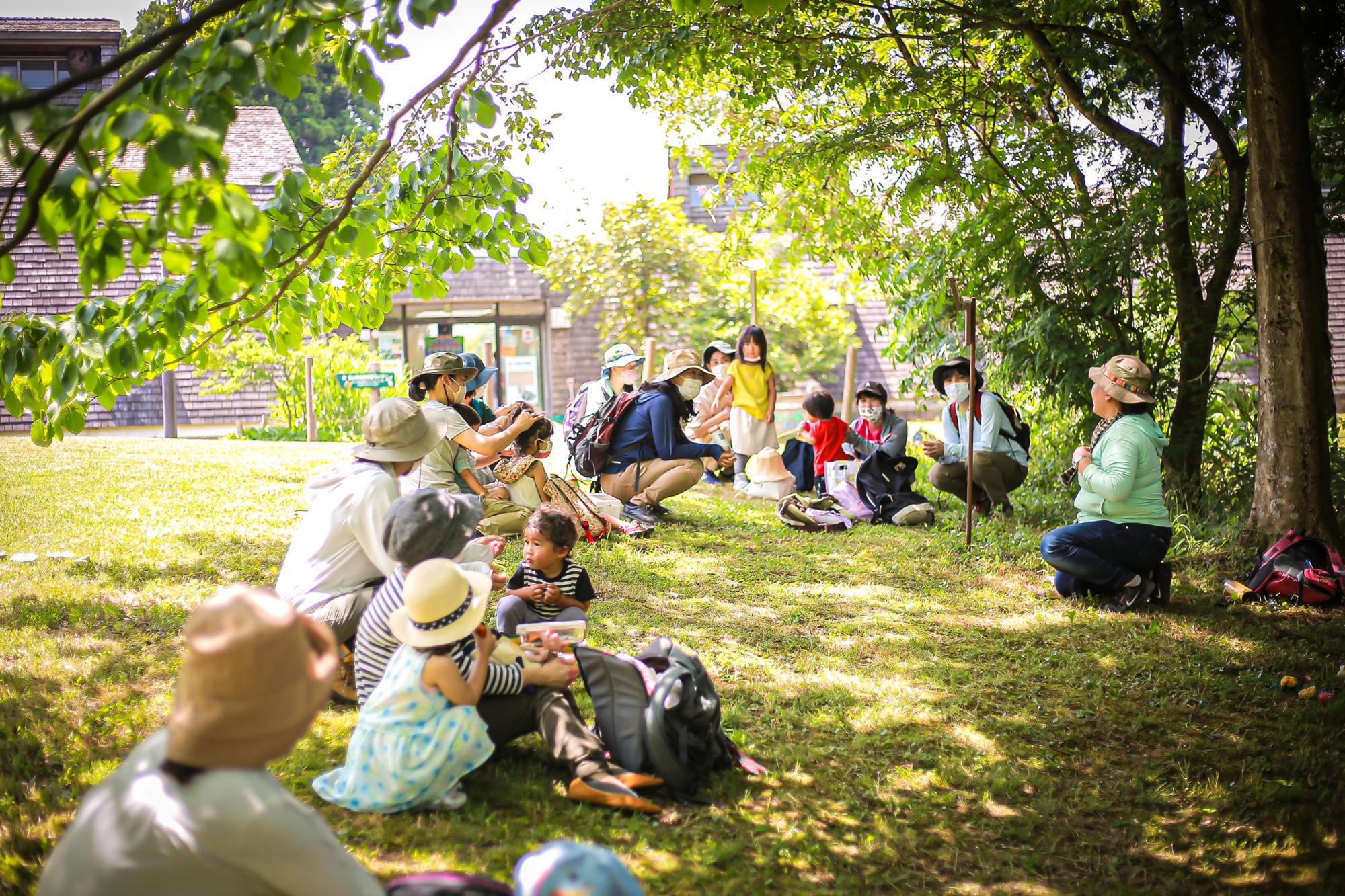 富山森のこども園