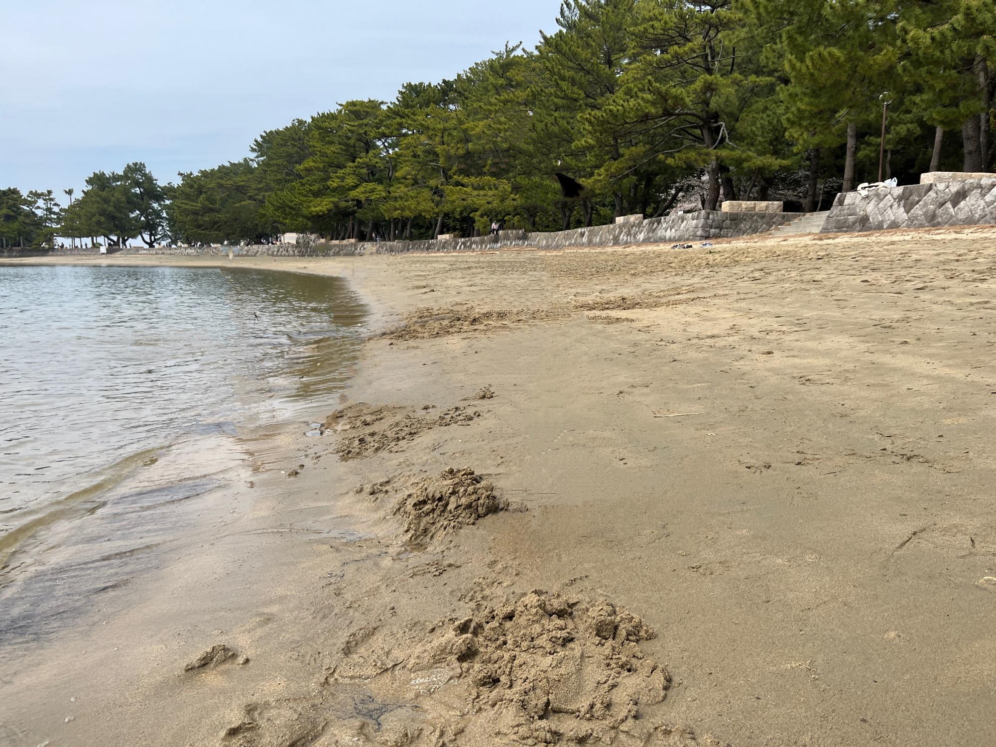 小戸公園