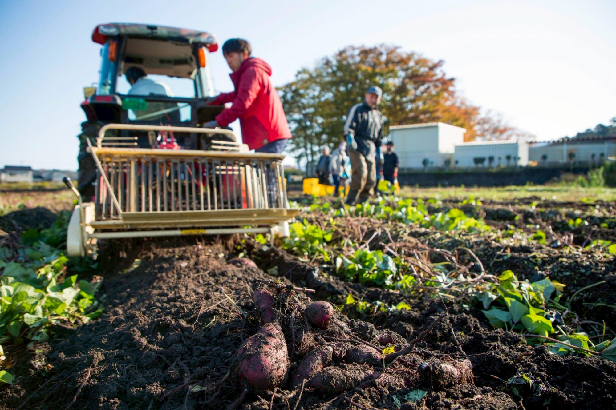 ぶどうの森工房