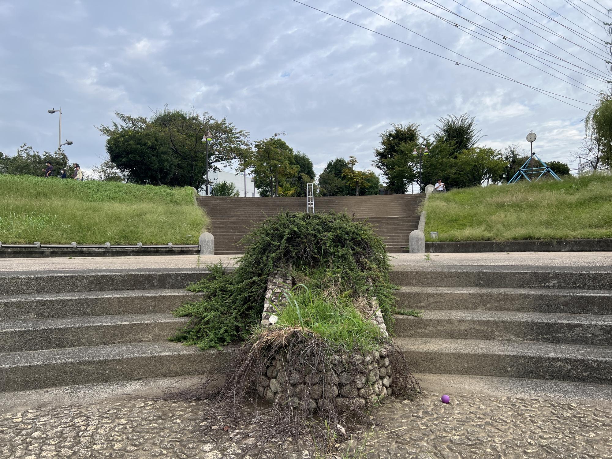 板橋区立舟渡水辺公園