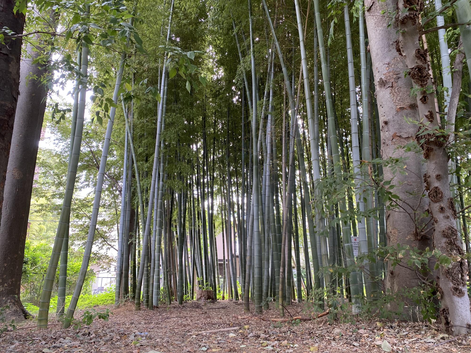 下保谷第三児童遊園