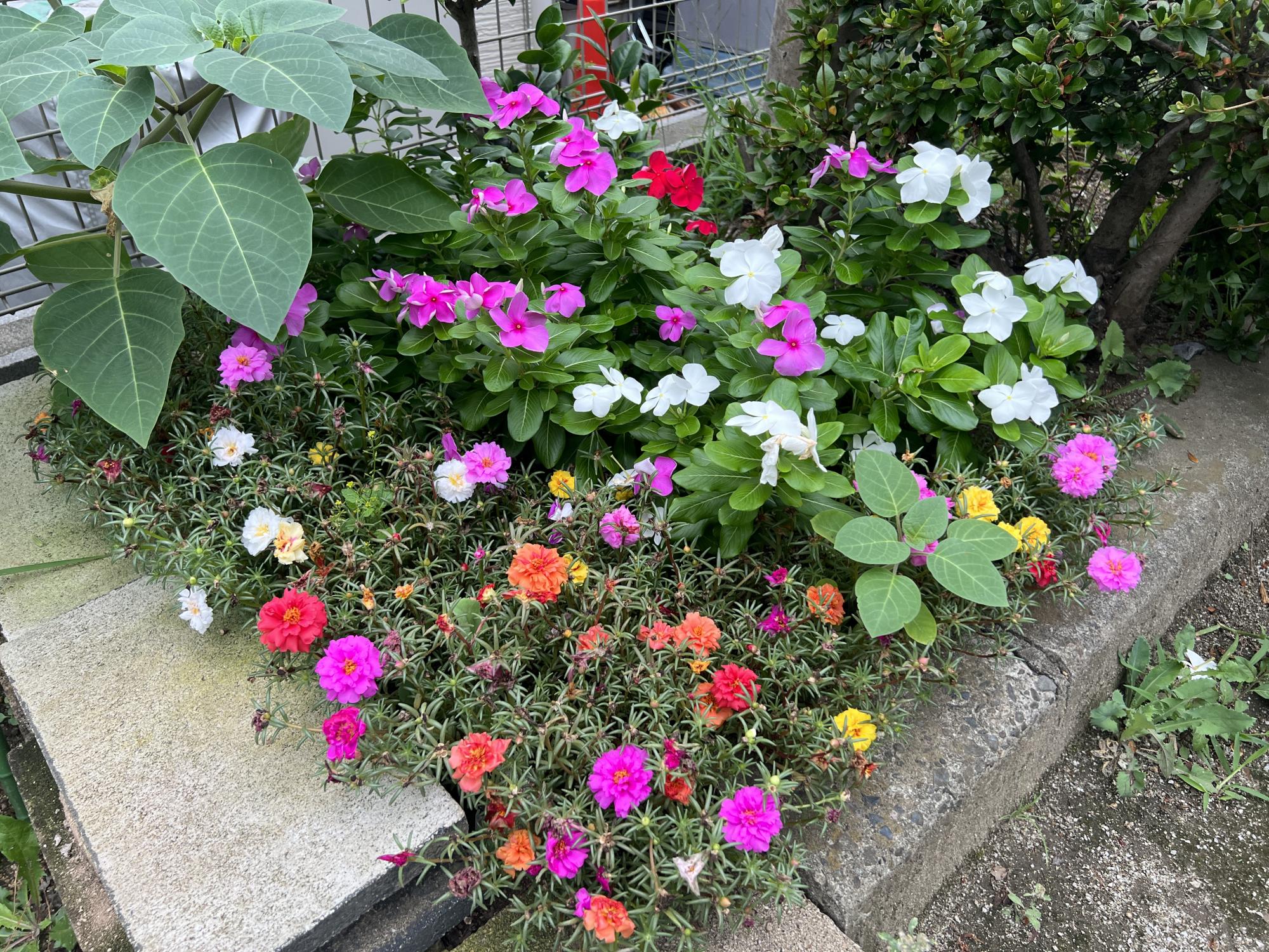 大原みなみ広場